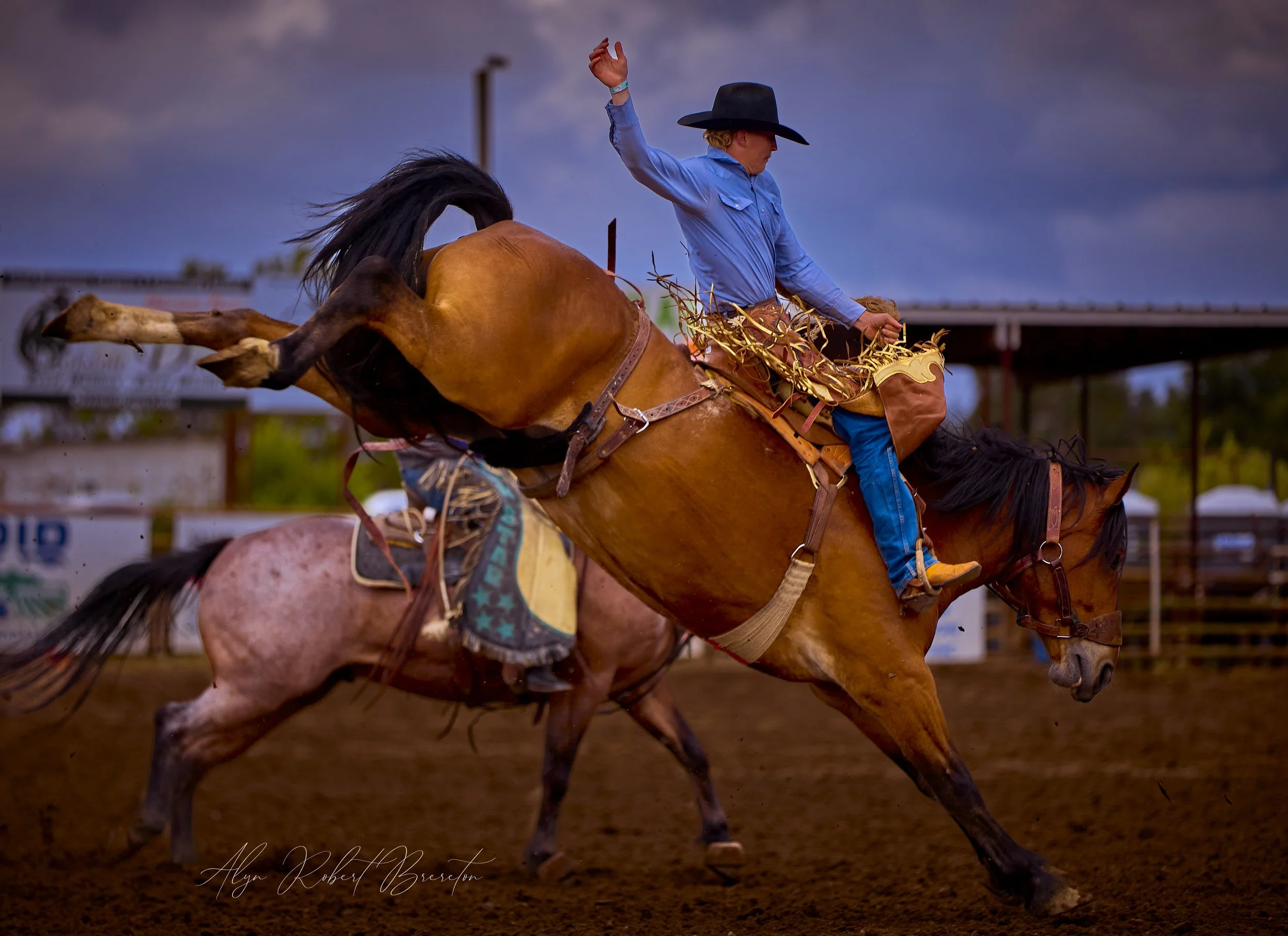 Alyn Robert Brereton 55.jpg