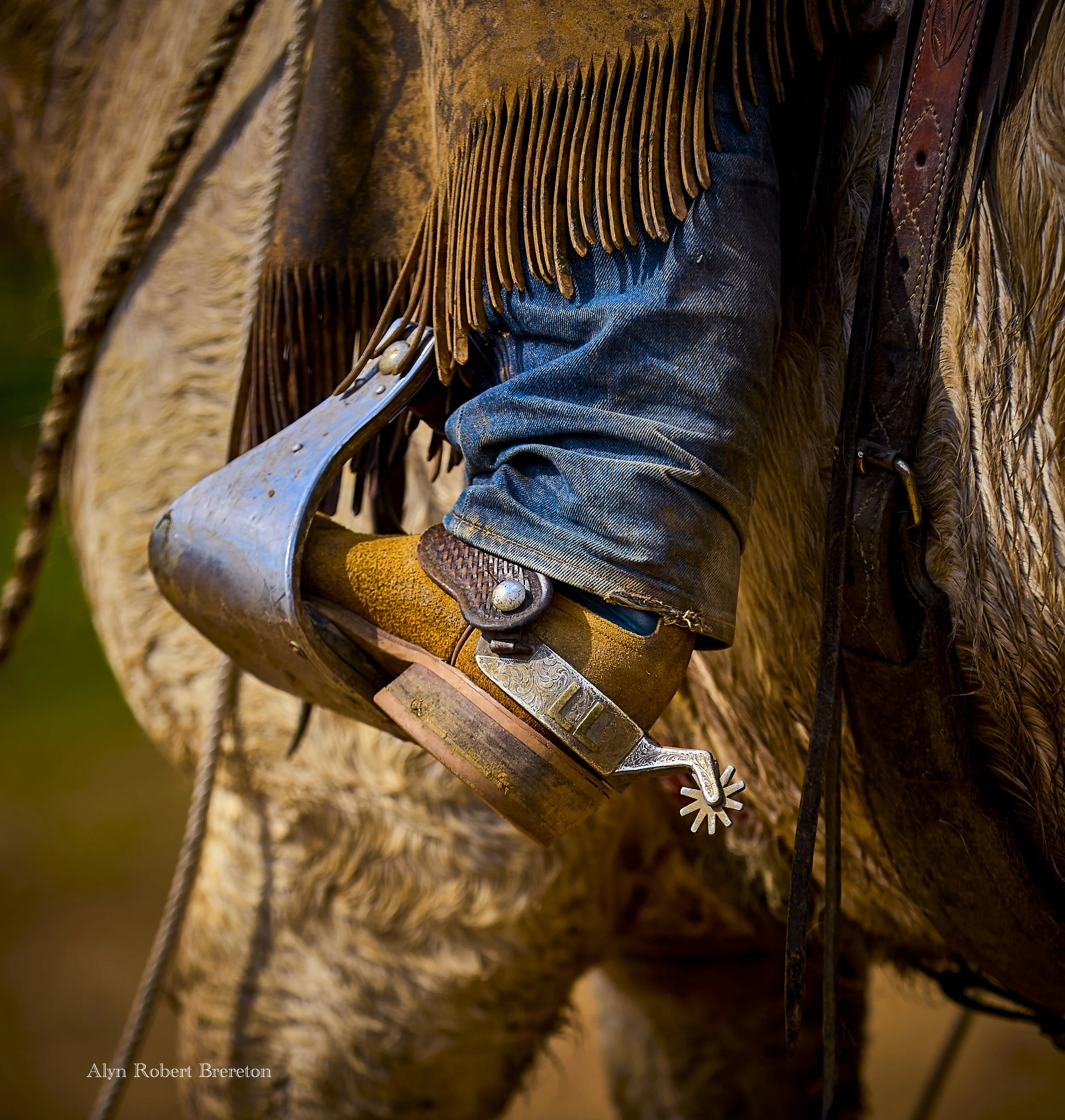 Alyn Robert Brereton 26.jpg