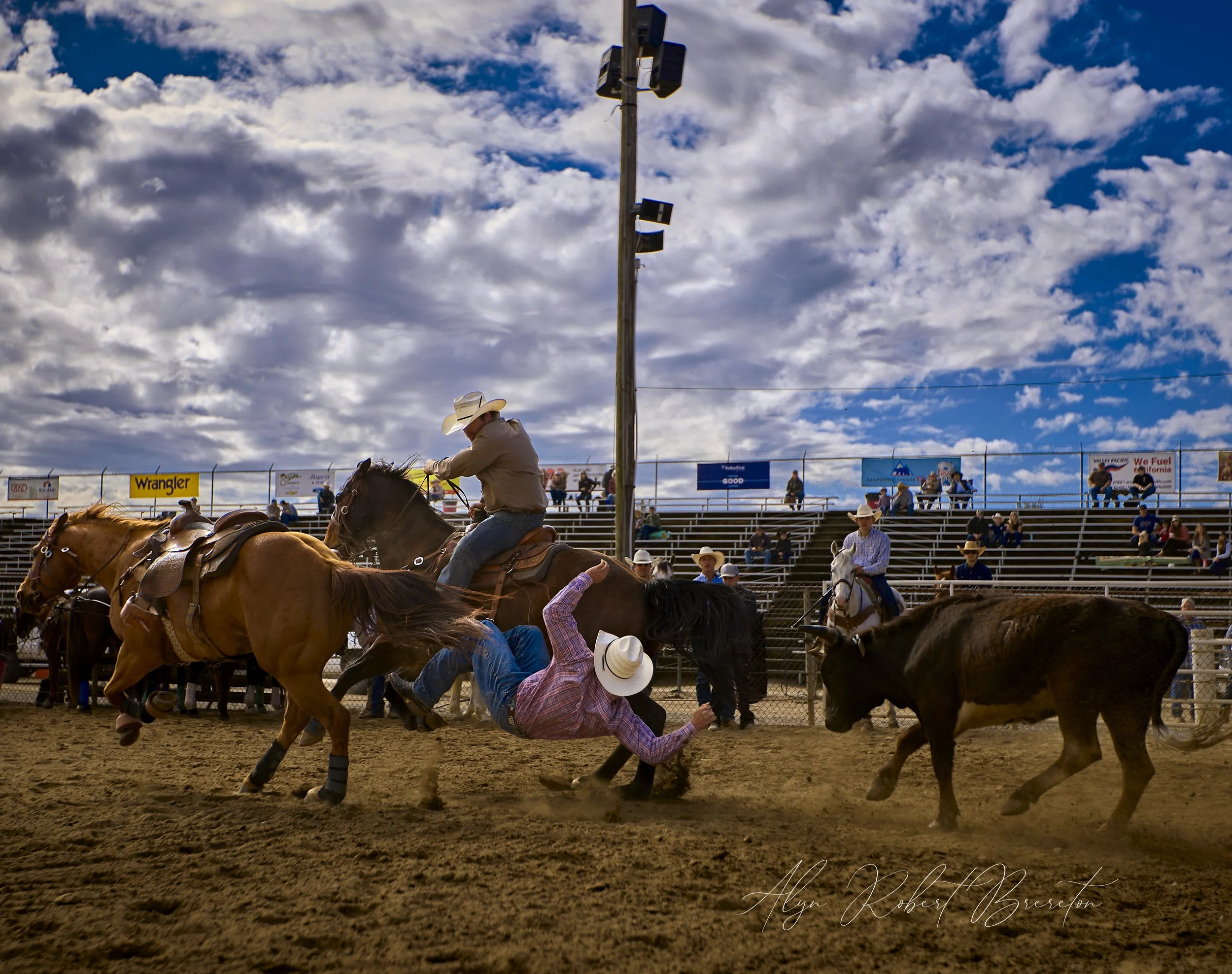 Alyn Robert Brereton.jpg