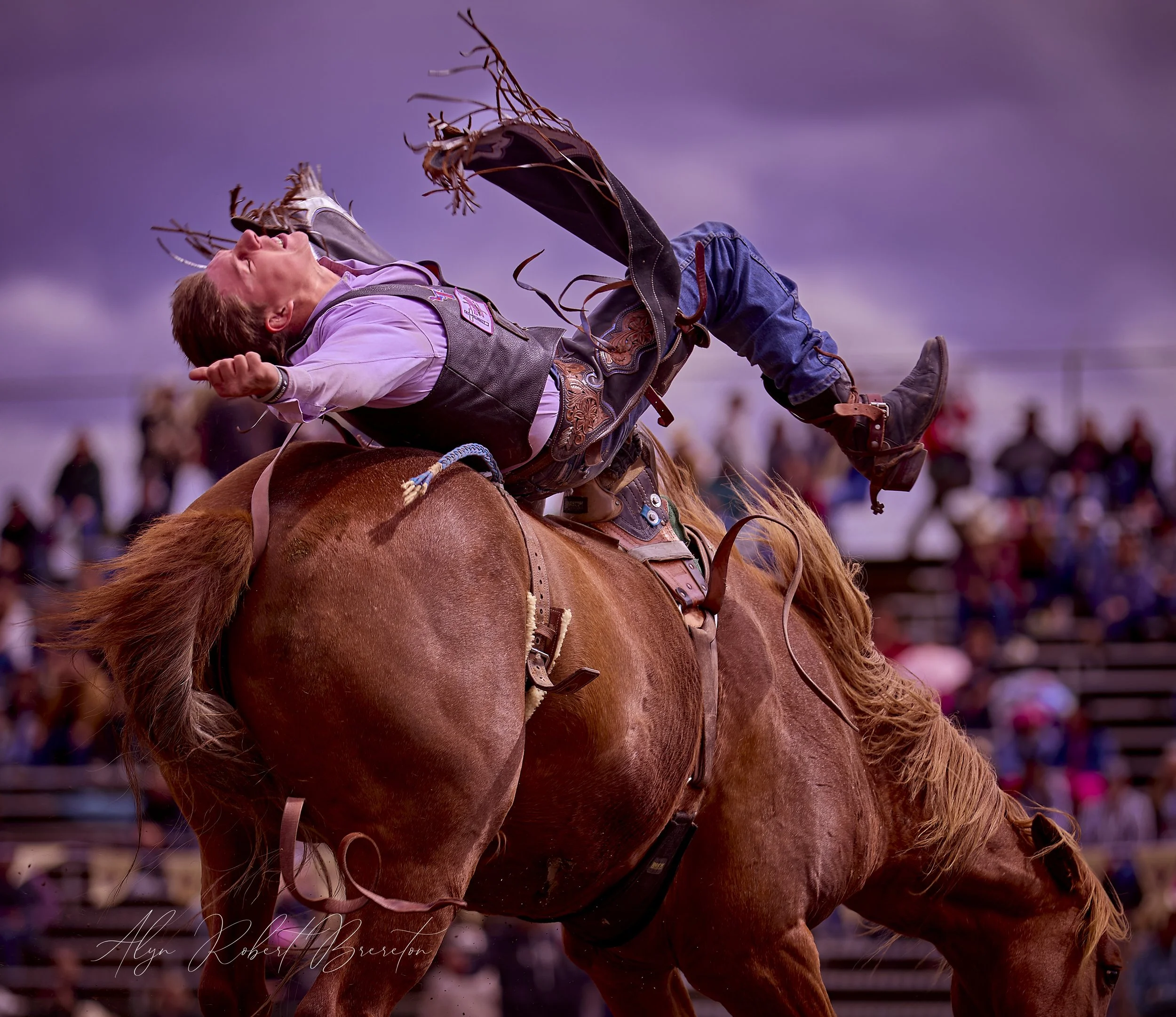 Alyn Robert Brereton 43.jpg