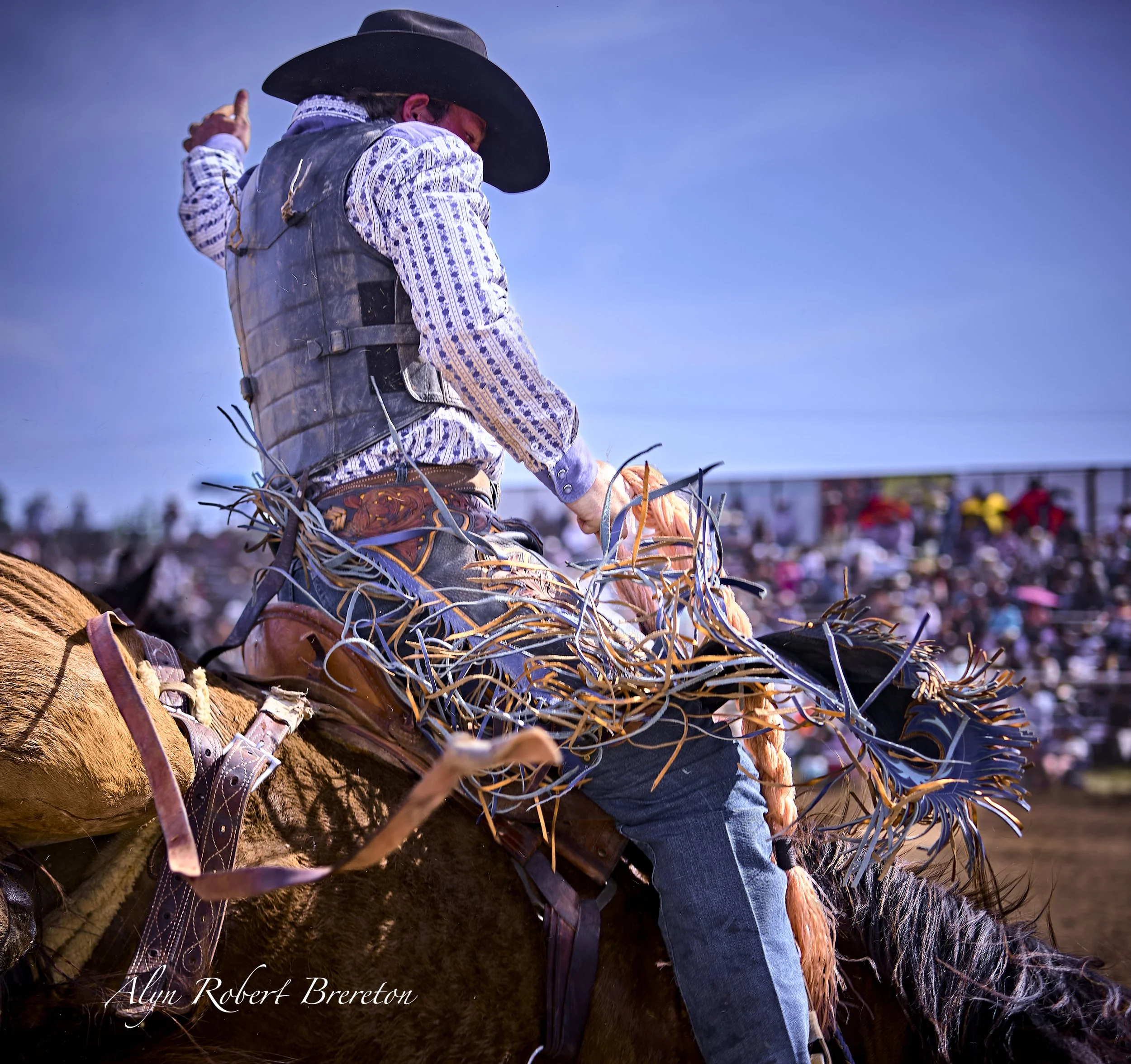 Alyn Robert Brereton 37.jpg