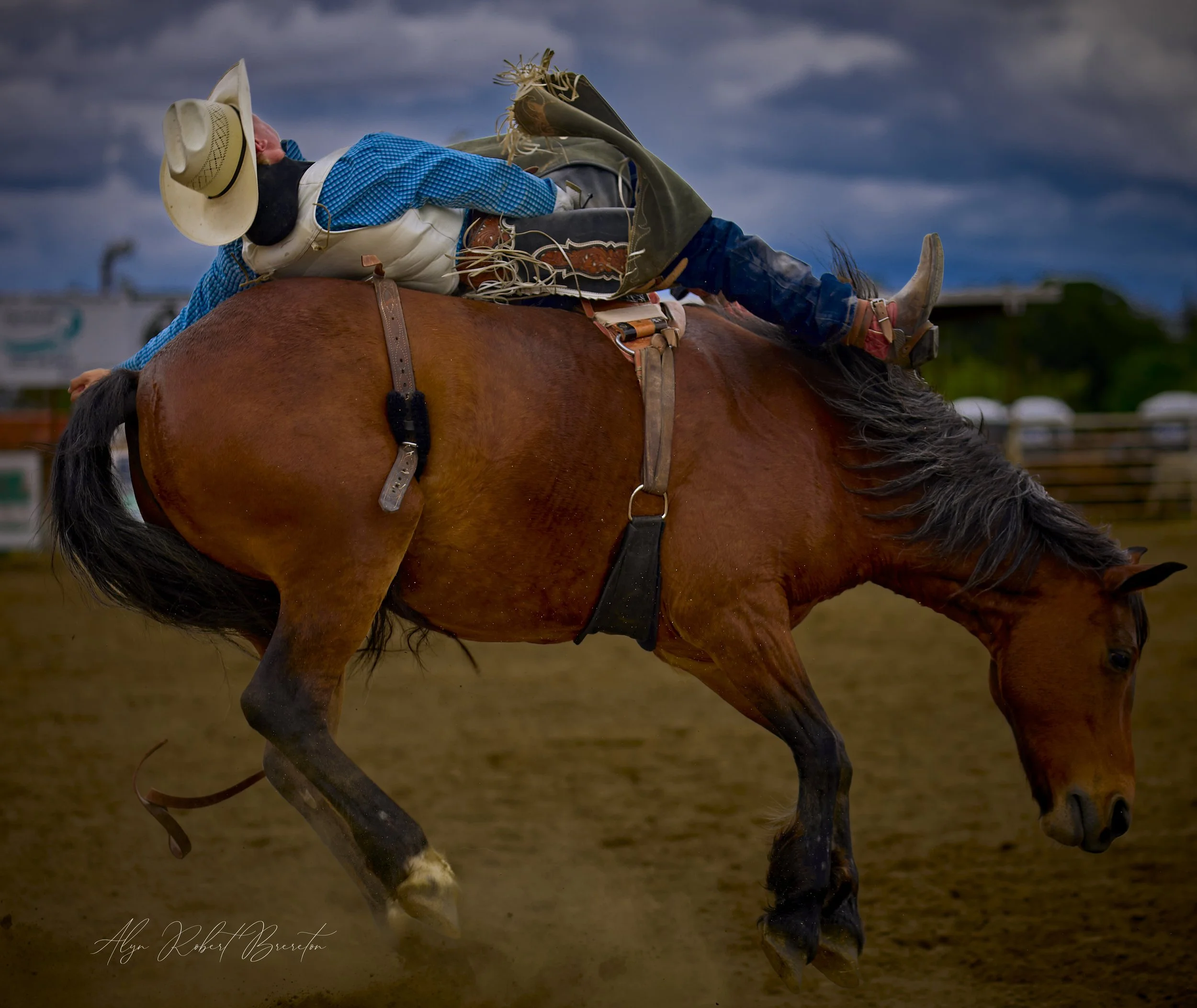 Alyn Robert Brereton 15.jpg