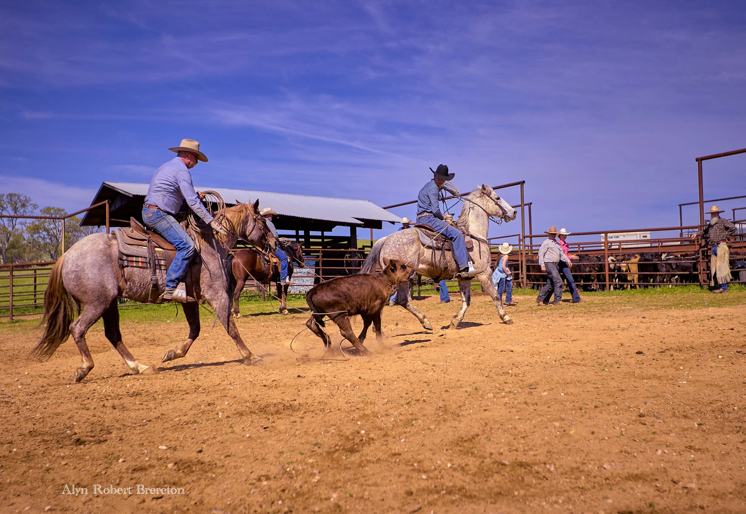 Alyn Robert Brereton 12.jpg