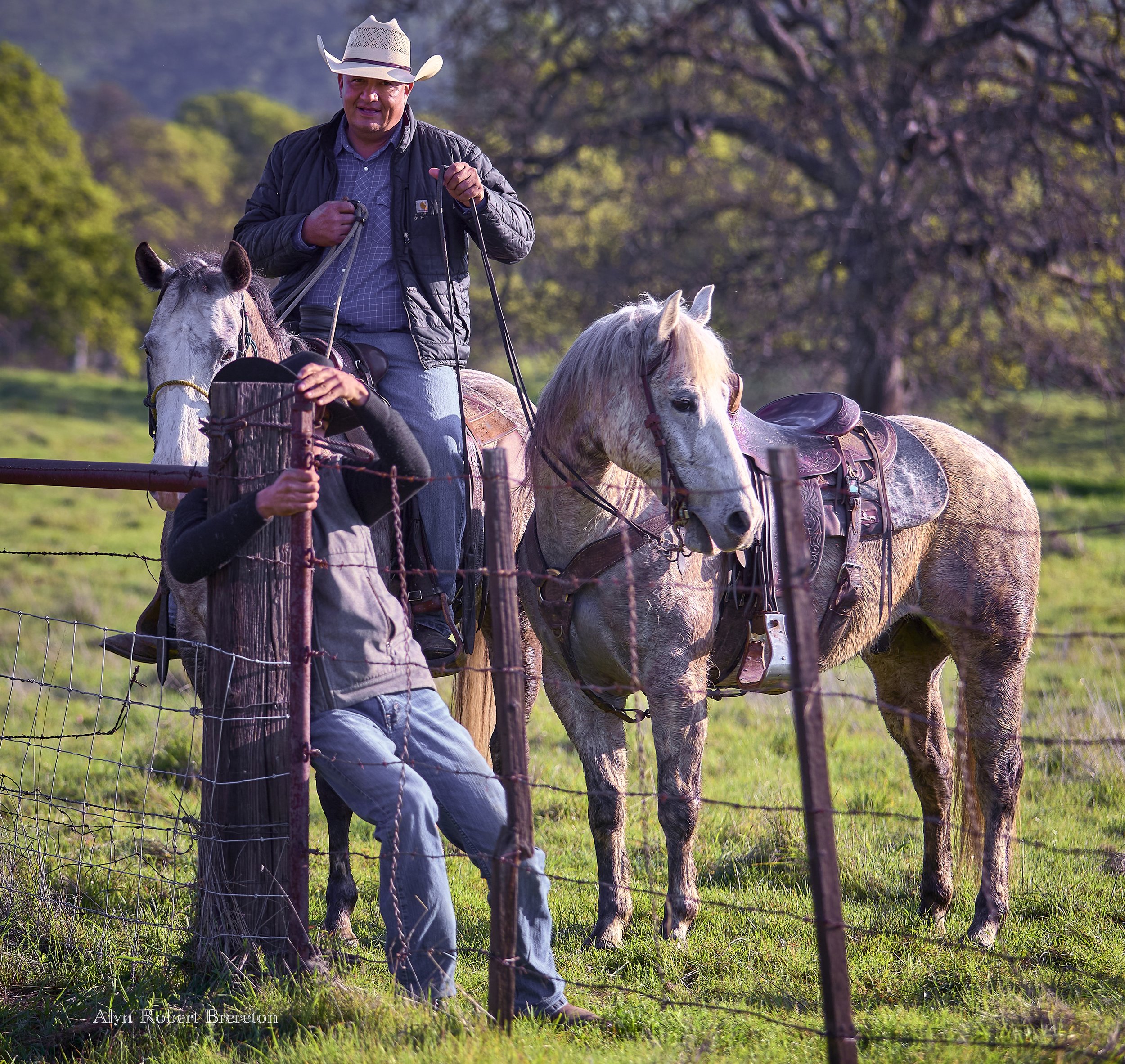 Alyn Robert Brereton.jpg