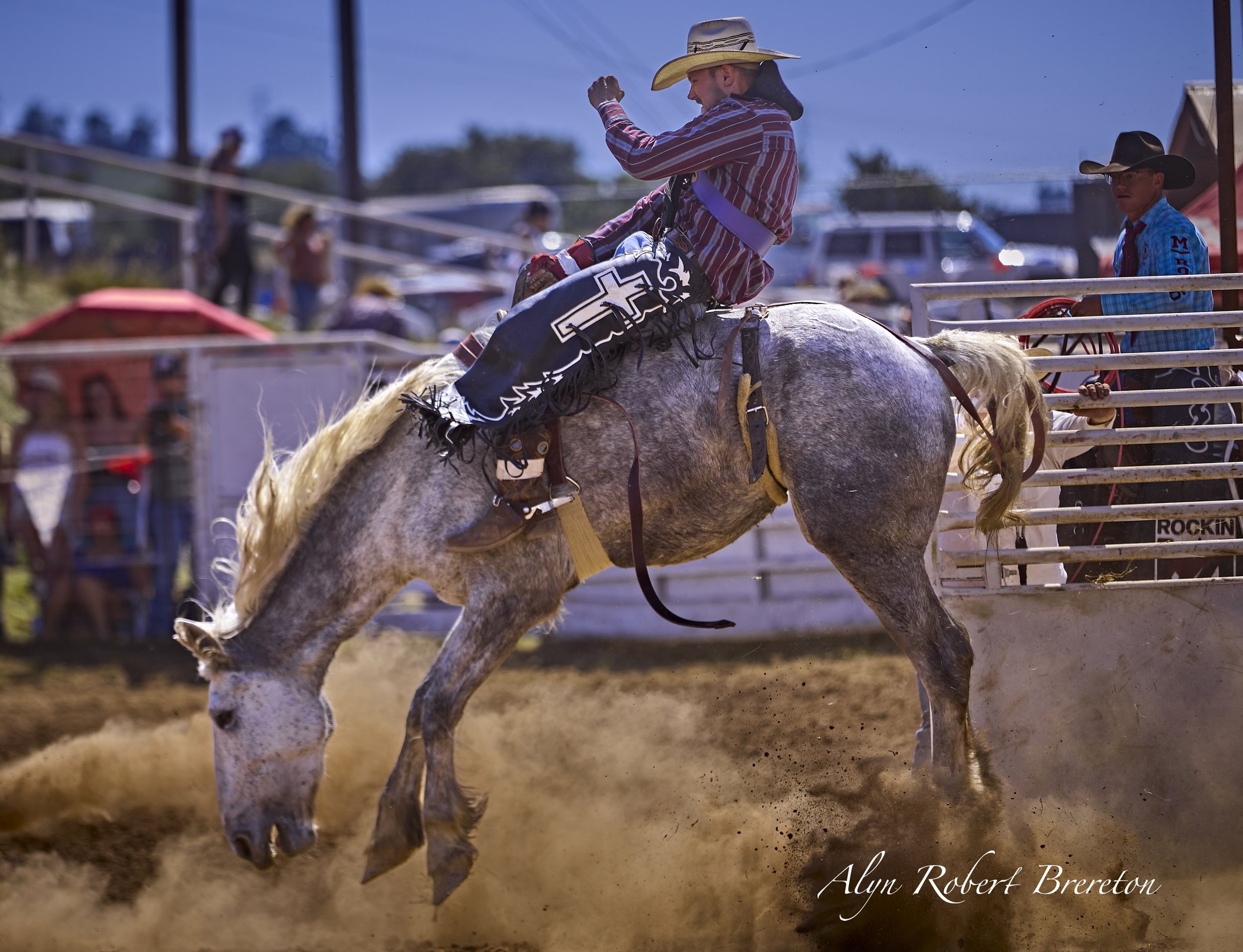 Alyn Robert Brereton 16.jpg