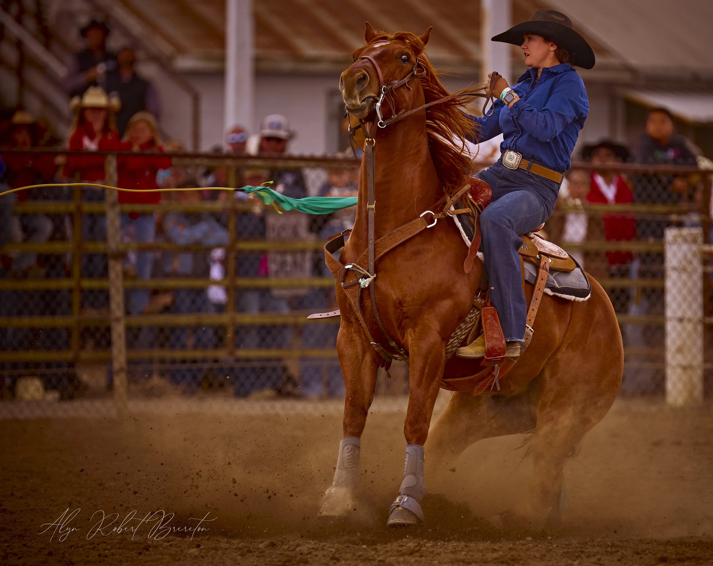 Alyn Robert Brereton 20.jpg