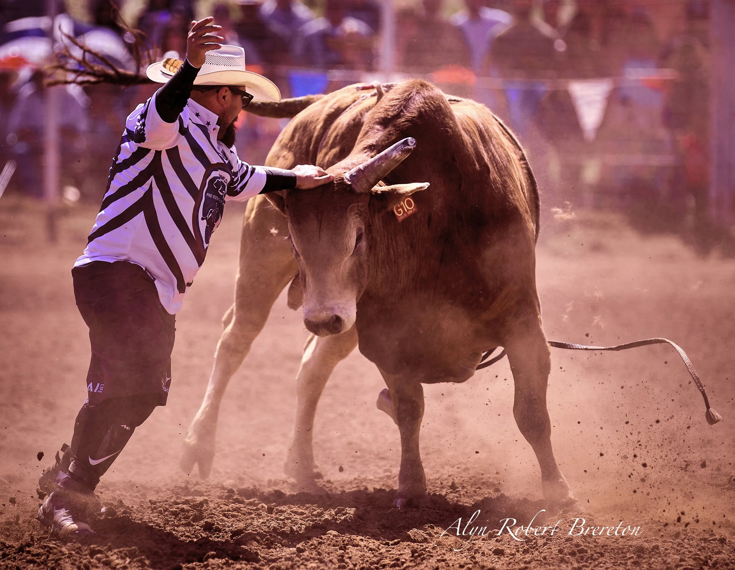 Alyn Robert Brereton 13.jpg