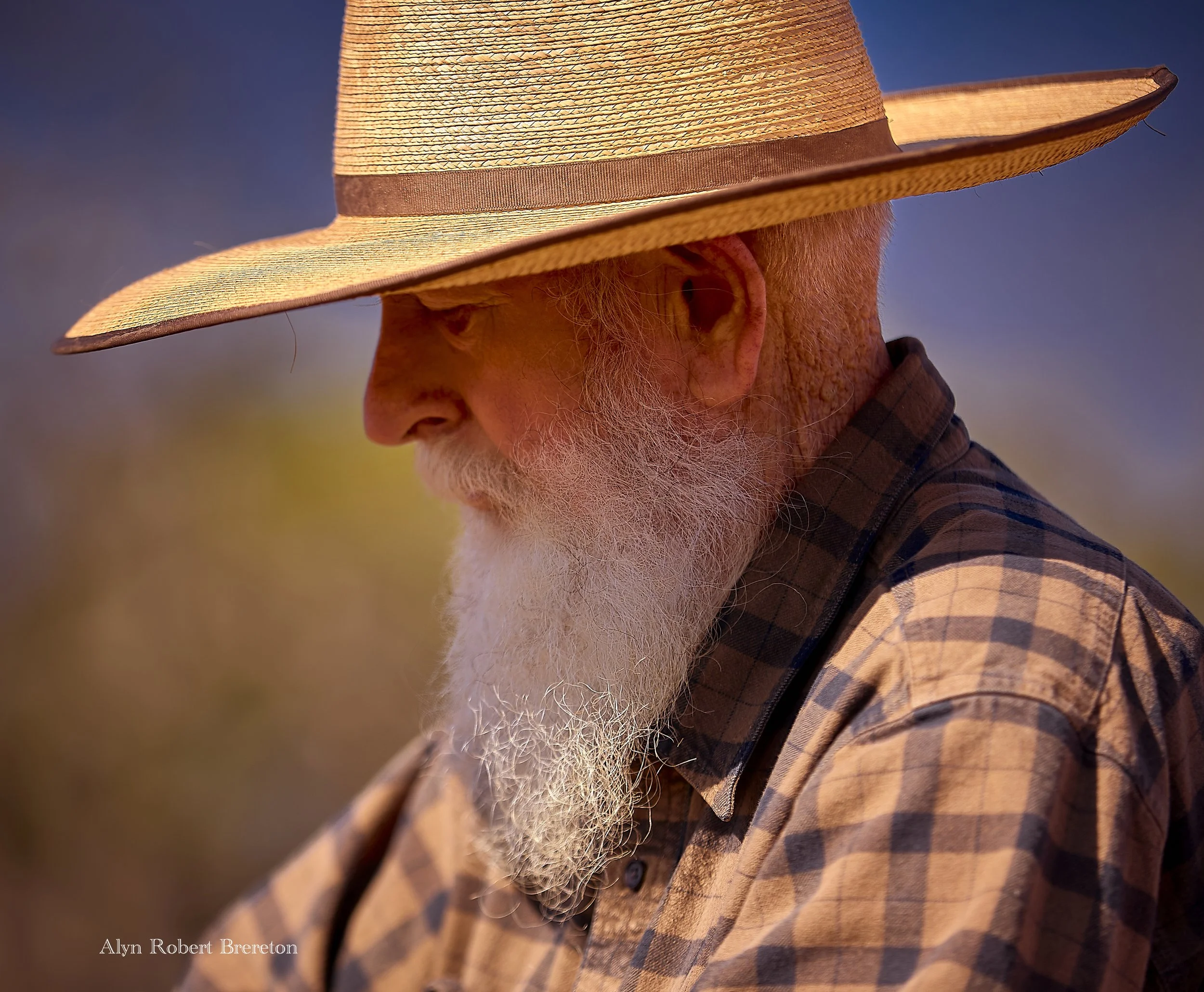 Alyn Robert Brereton 10.jpg