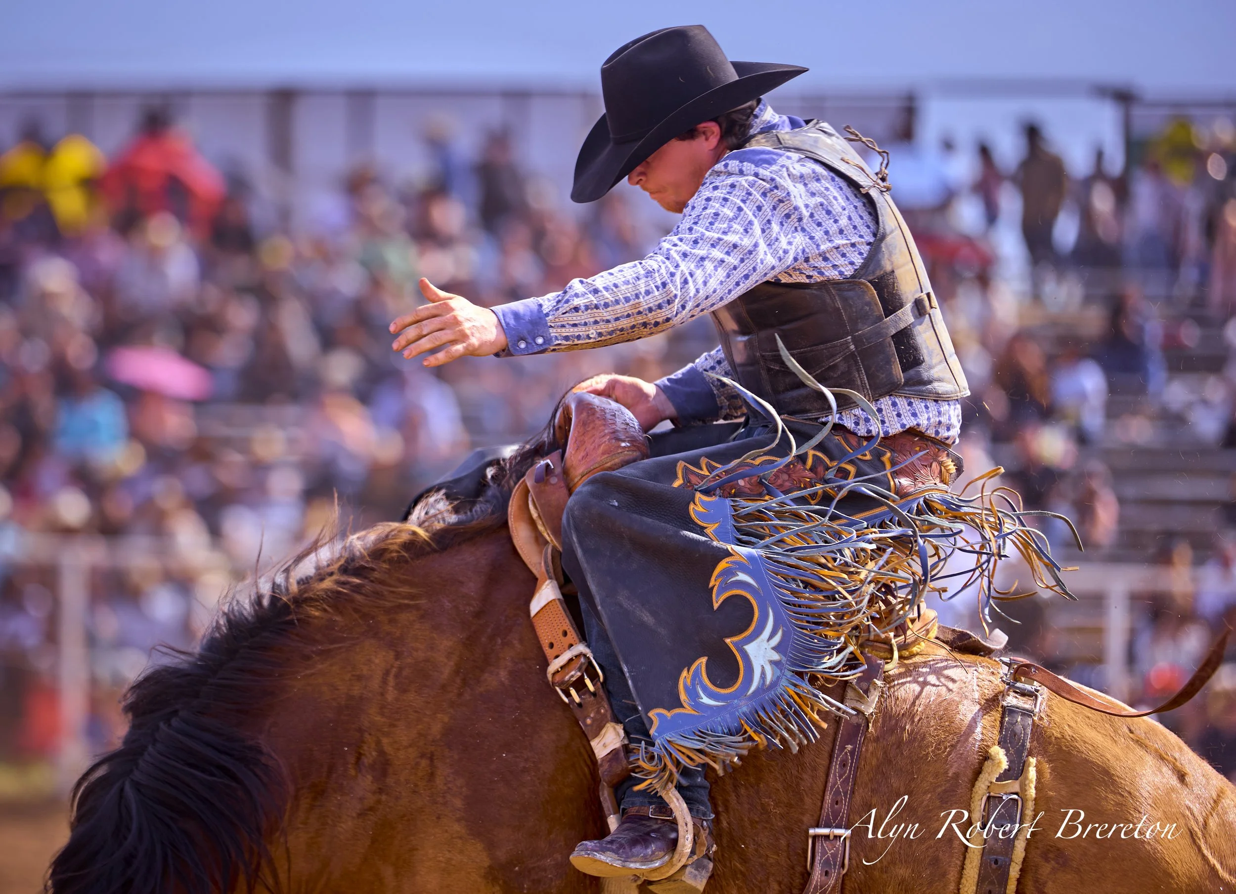 Alyn Robert Brereton 30.jpg