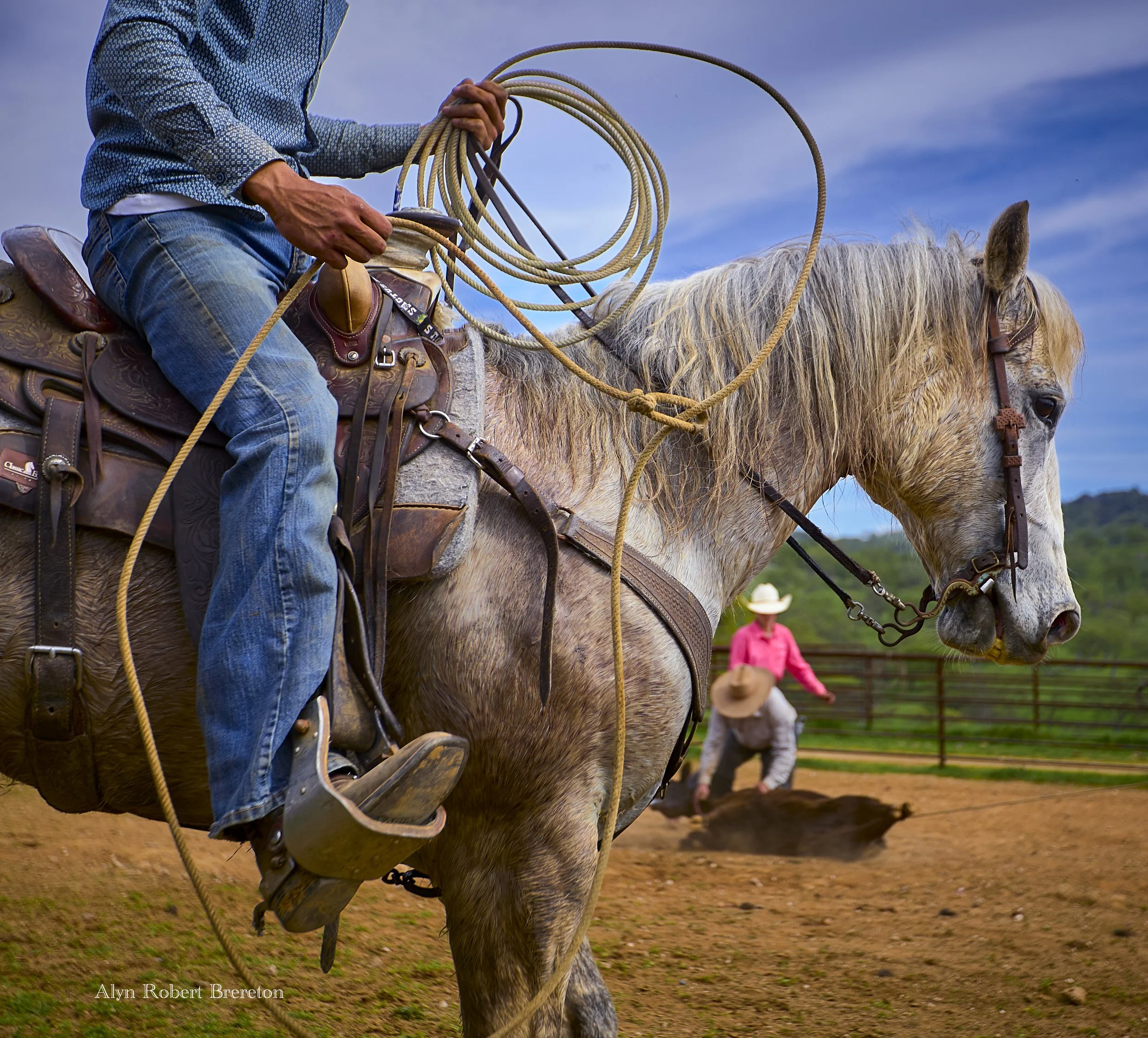 Alyn Robert Brereton 34.jpg