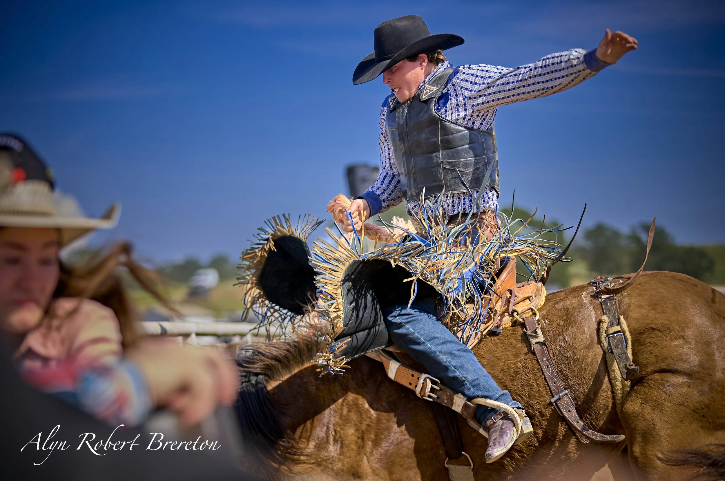 Alyn Robert Brereton 32.jpg