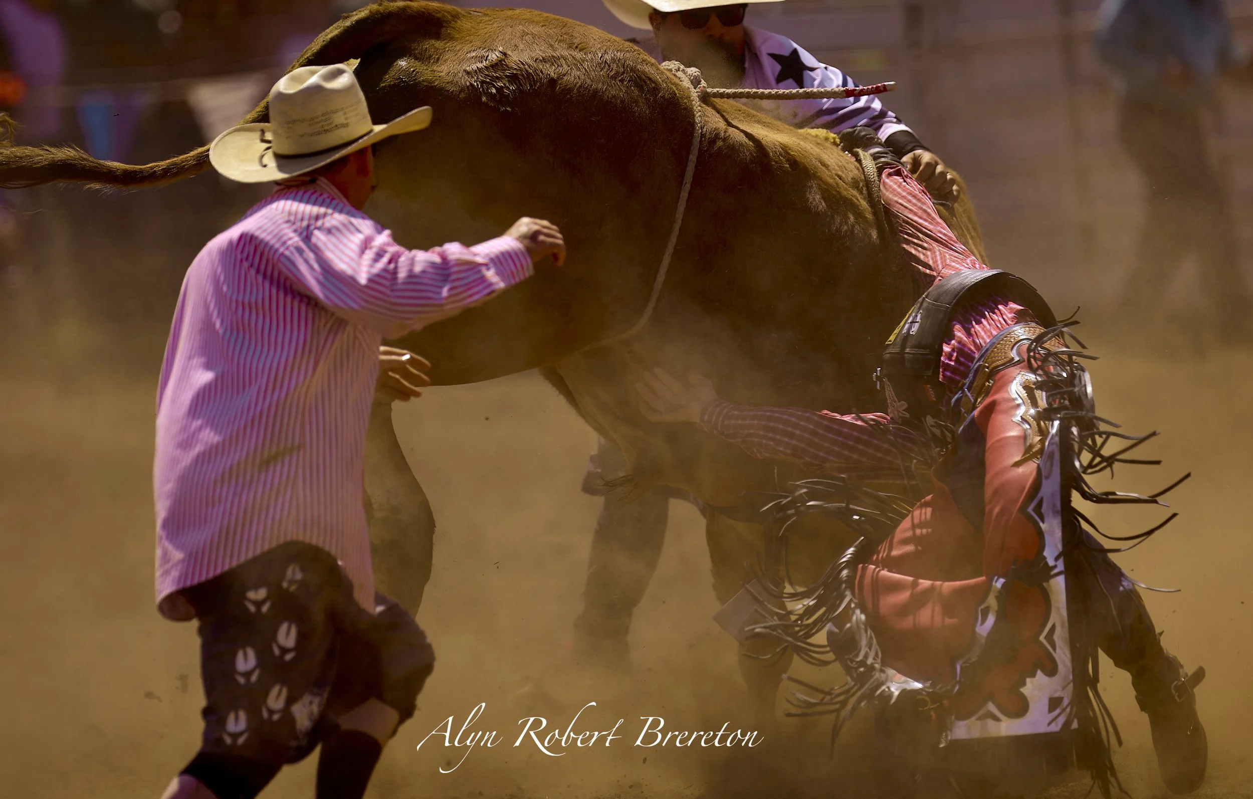 Alyn Robert Brereton 11.jpg