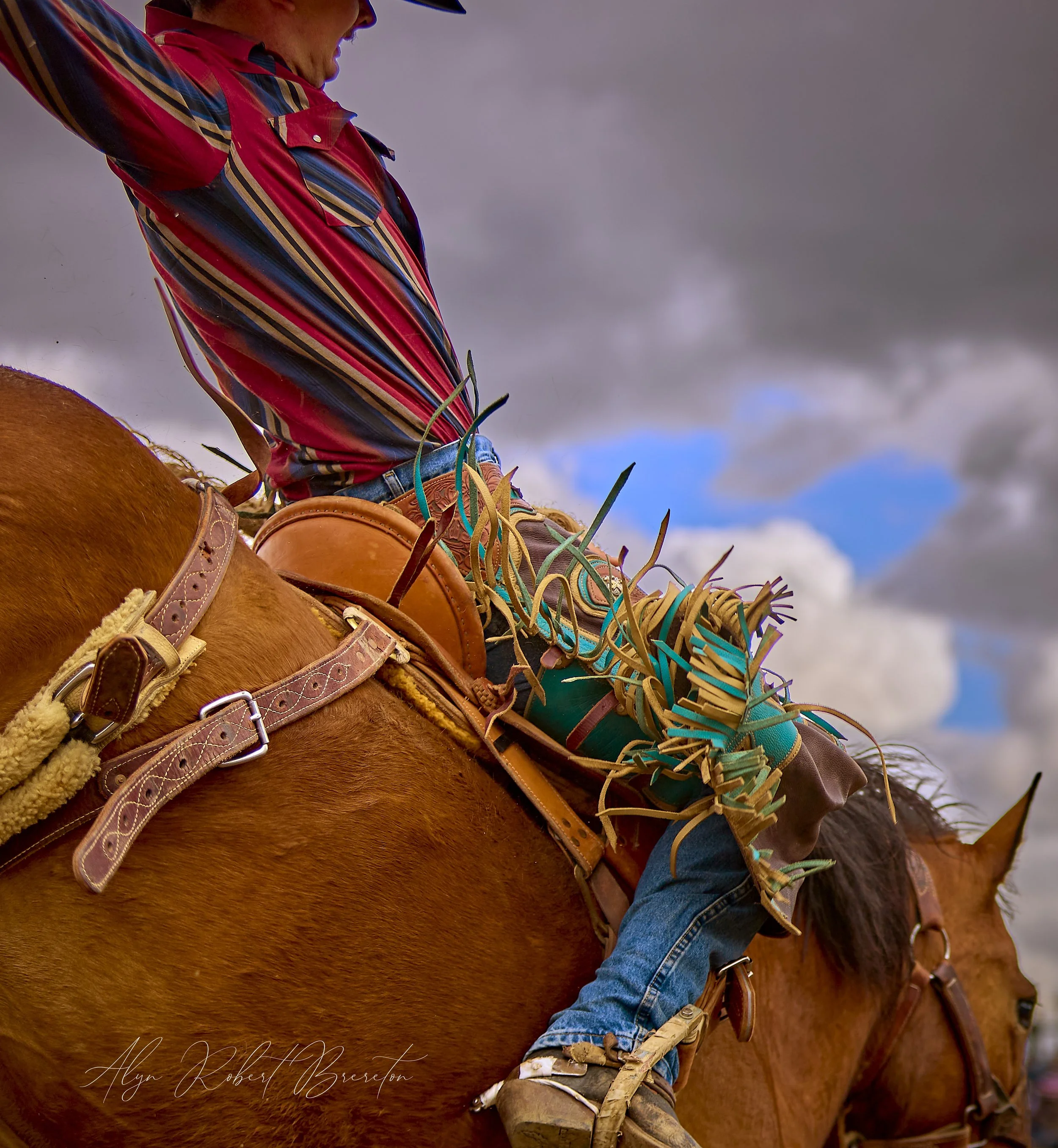 Alyn Robert Brereton 52.jpg