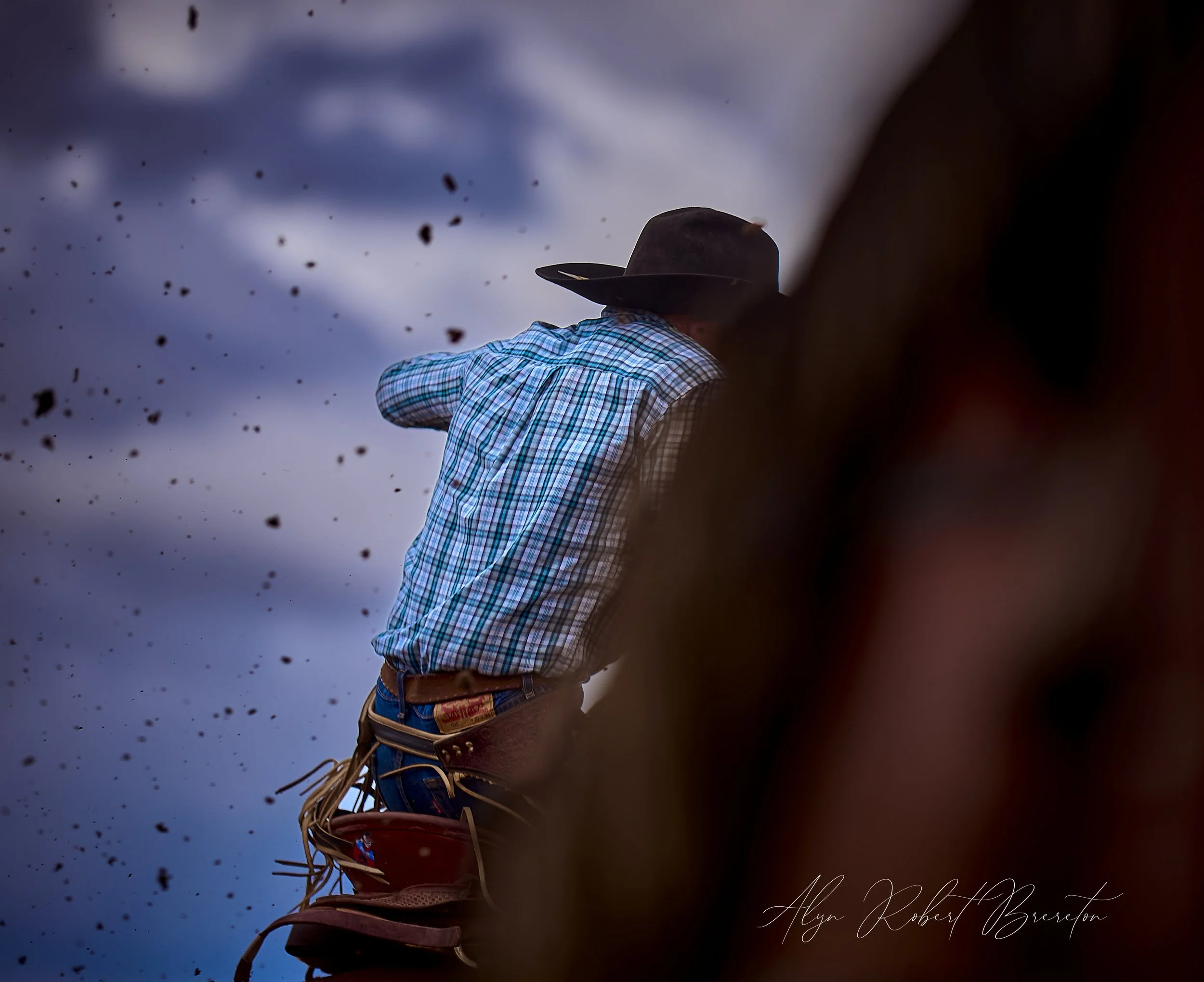 Alyn Robert Brereton 49.jpg