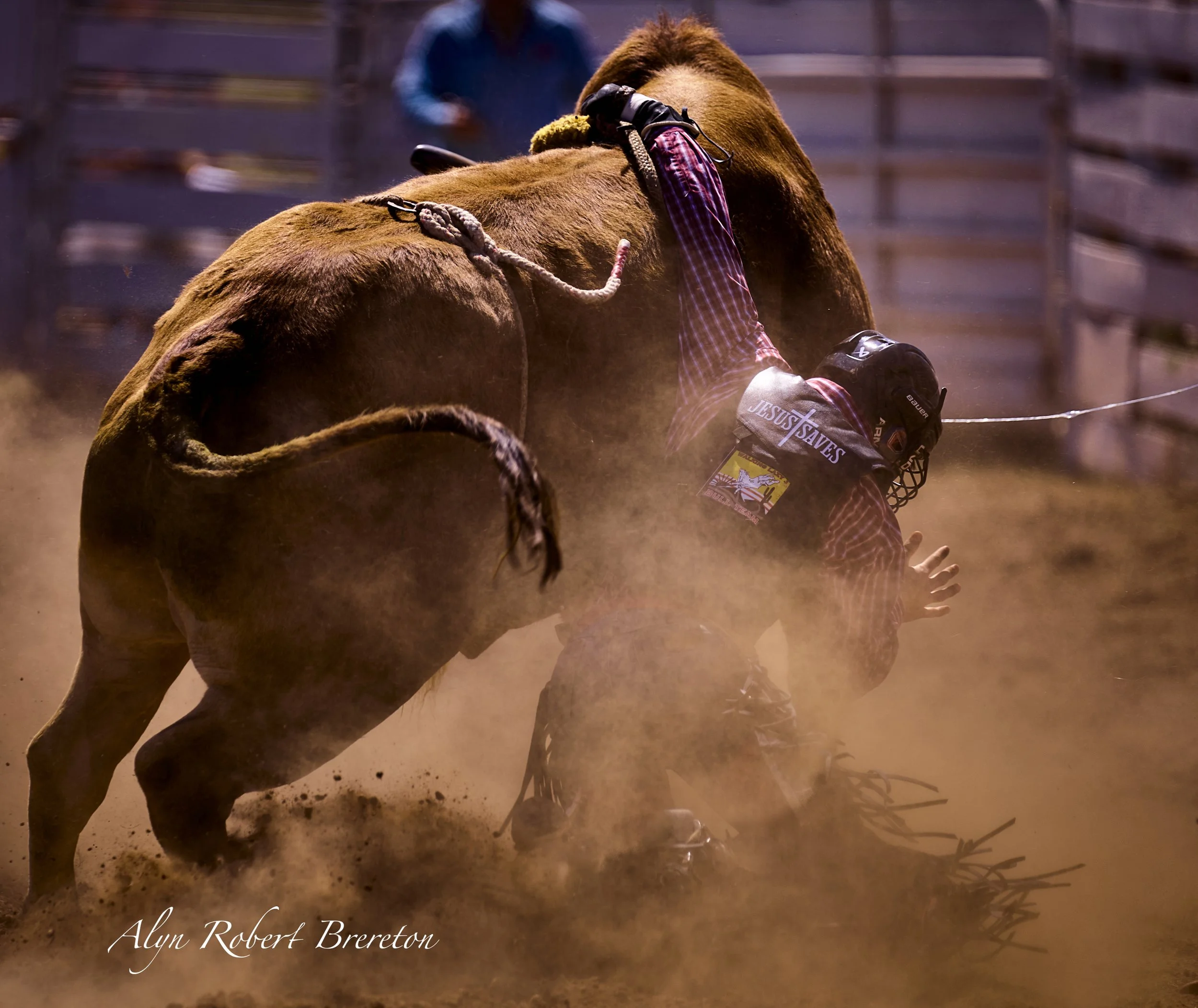 Alyn Robert Brereton 8.jpg