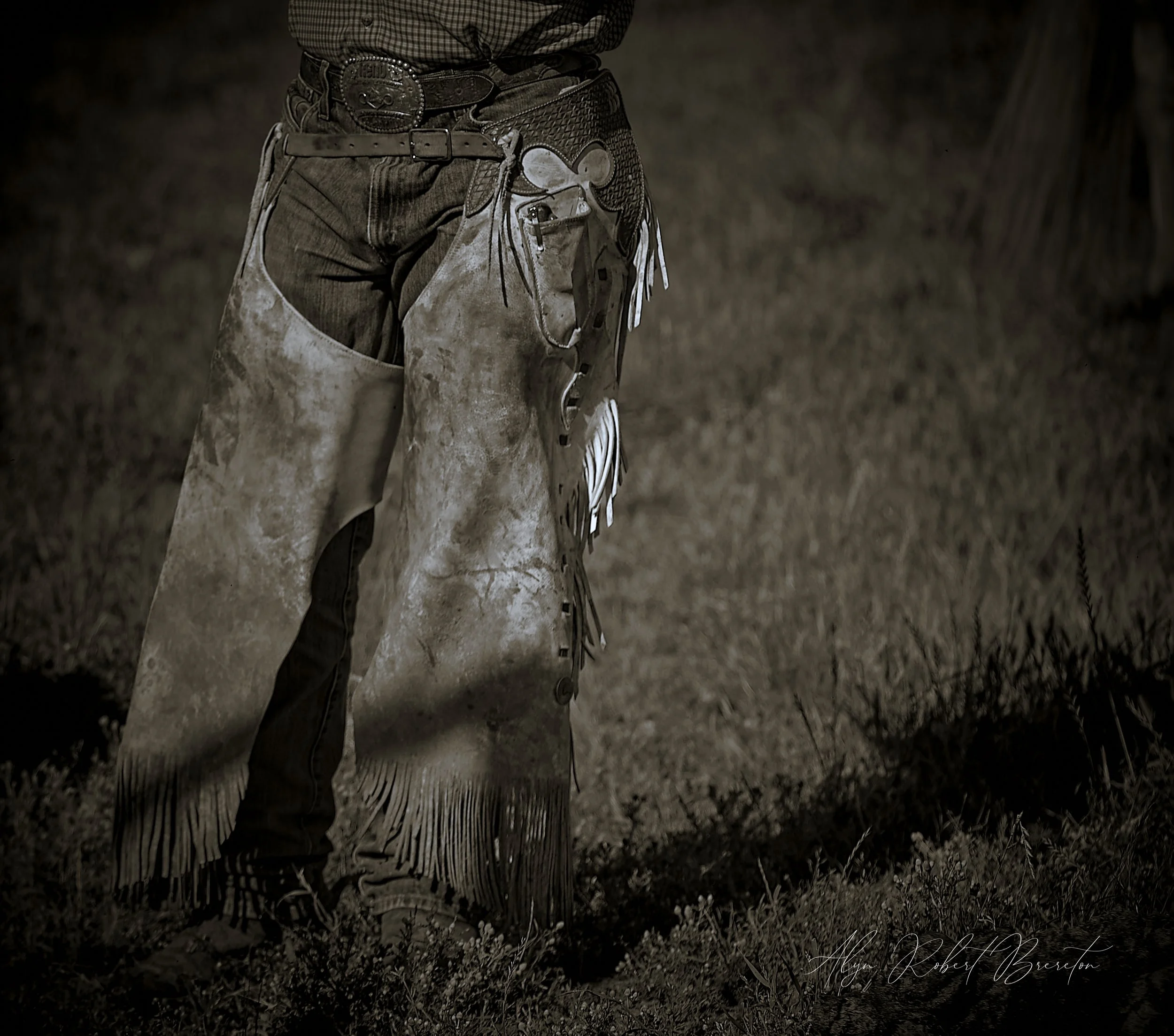 Alyn Robert Brereton 10.jpg