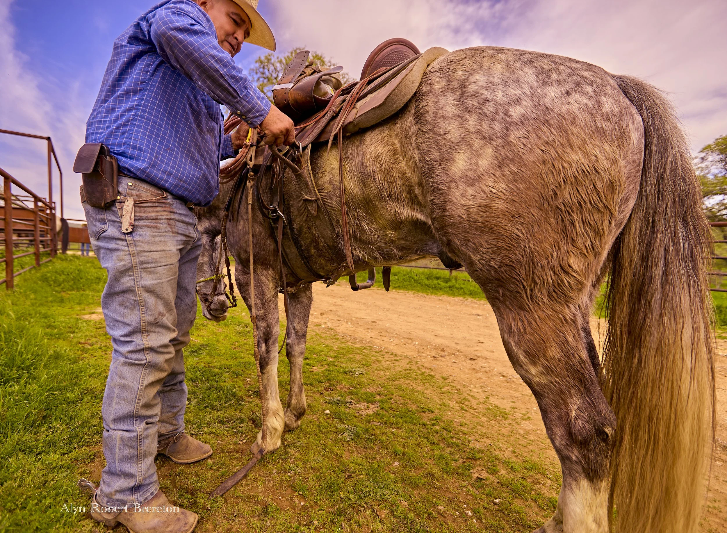 Alyn Robert Brereton 39.jpg