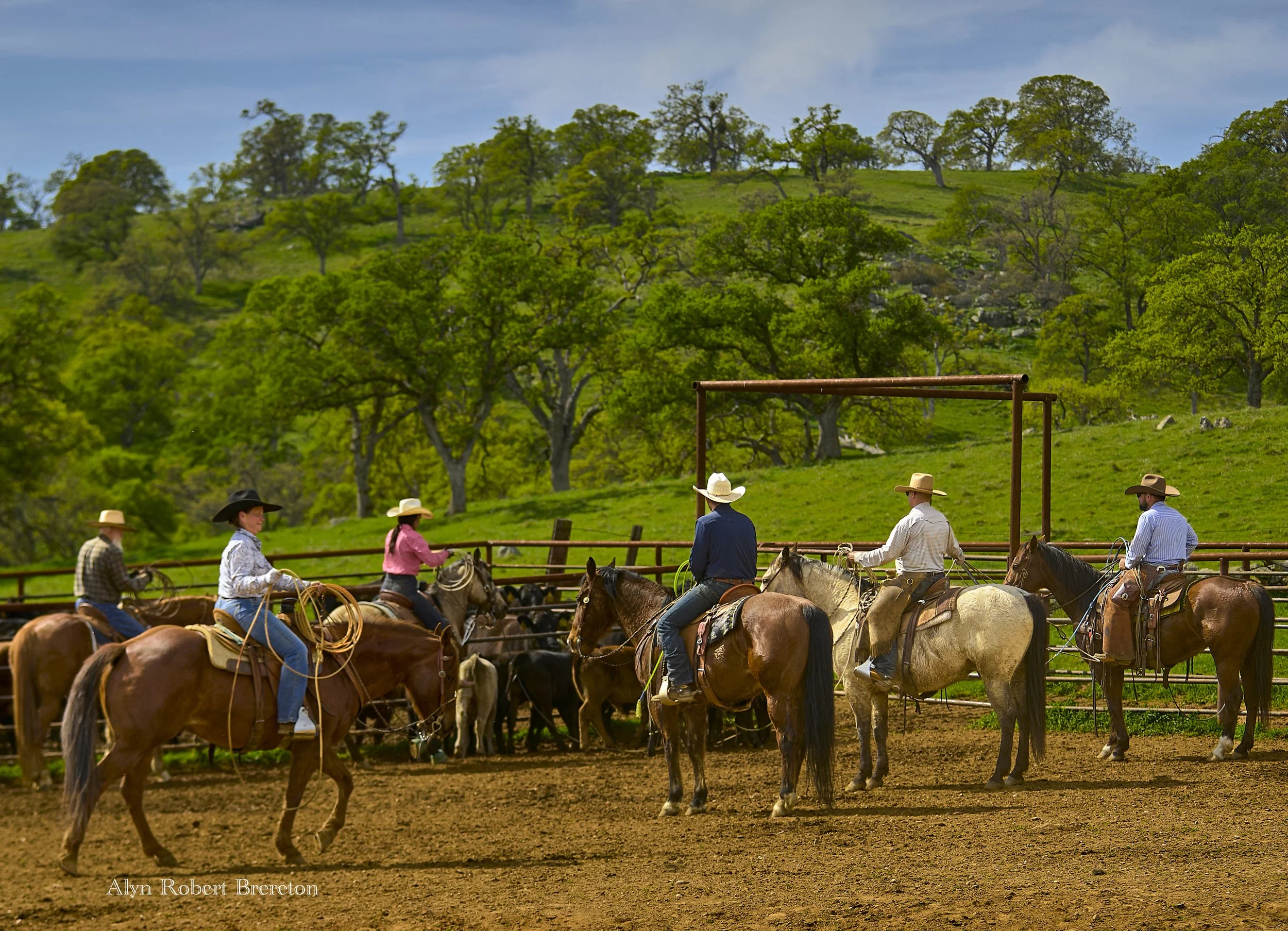 Alyn Robert Brereton 24.jpg