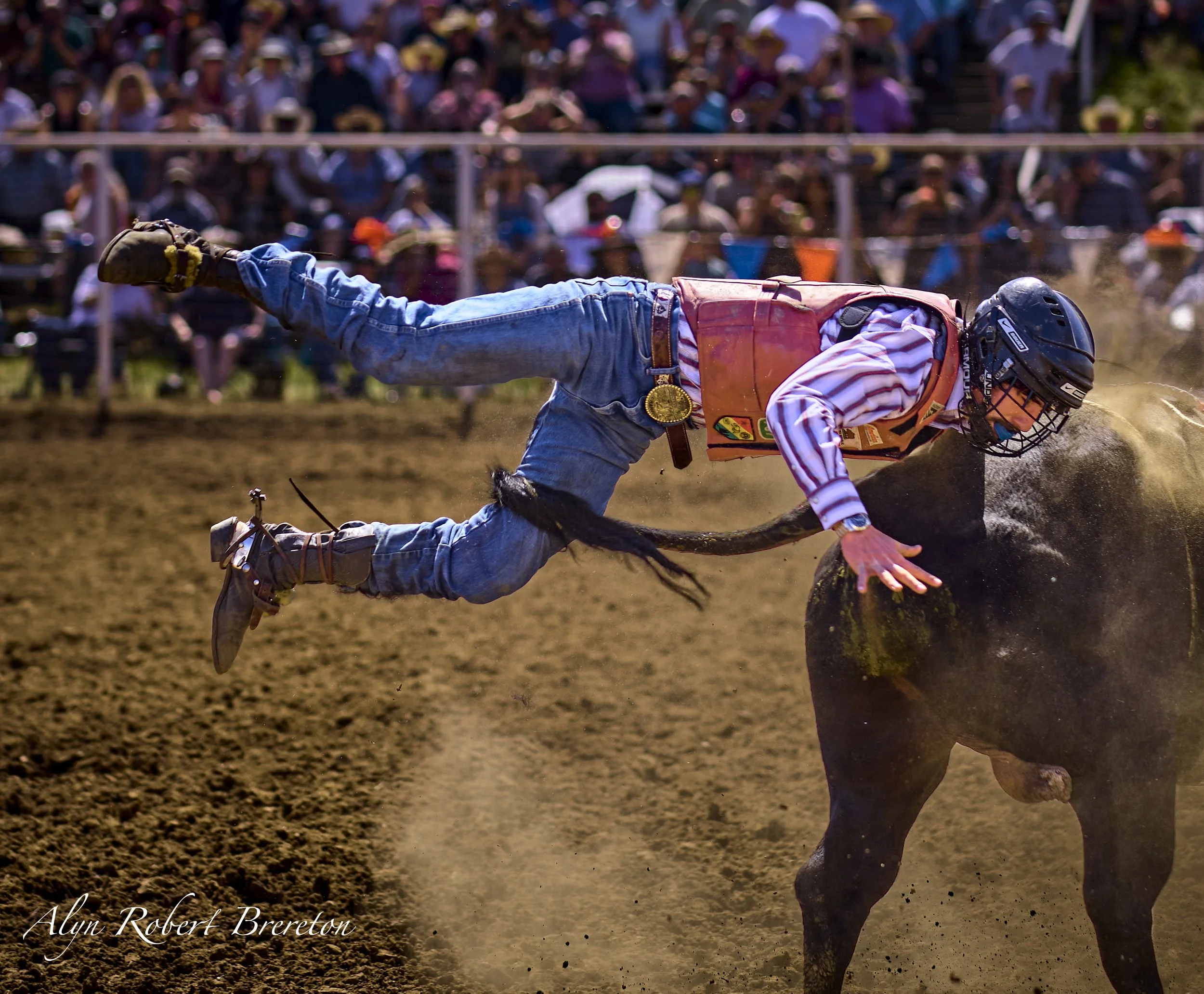 Alyn Robert Brereton 3.jpg