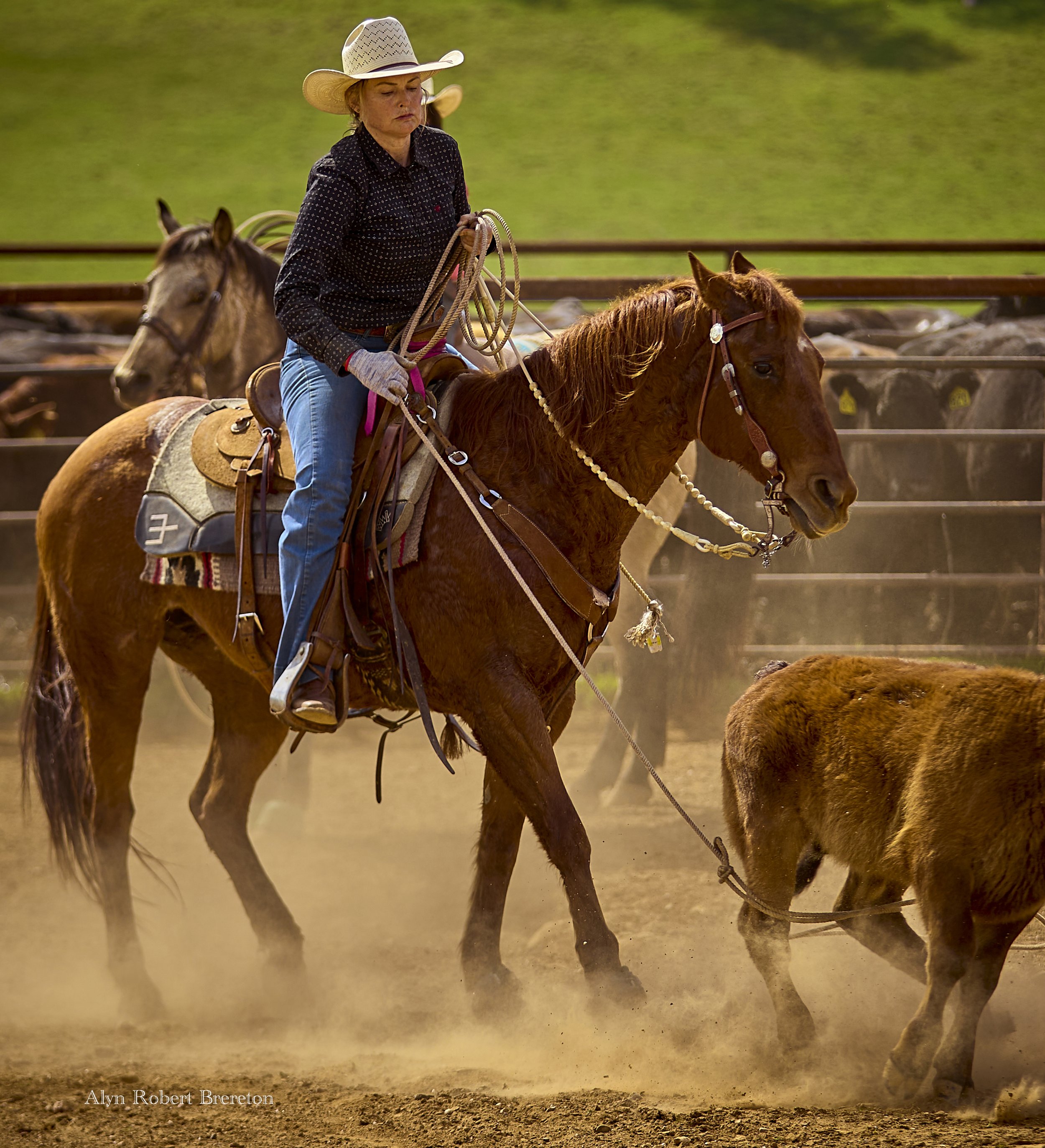 Alyn Robert Brereton 29.jpg