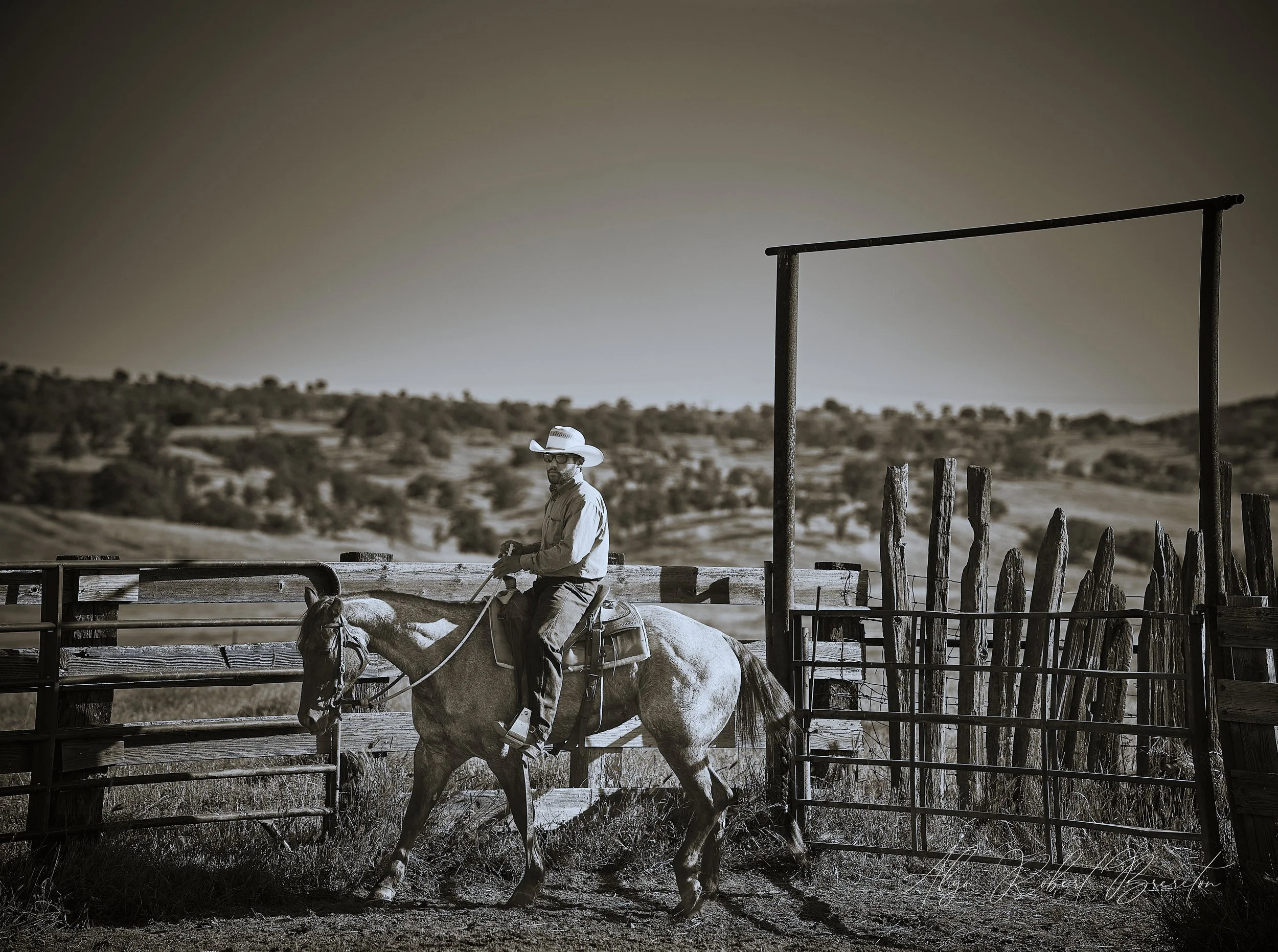 Alyn Robert Brereton 5.jpg