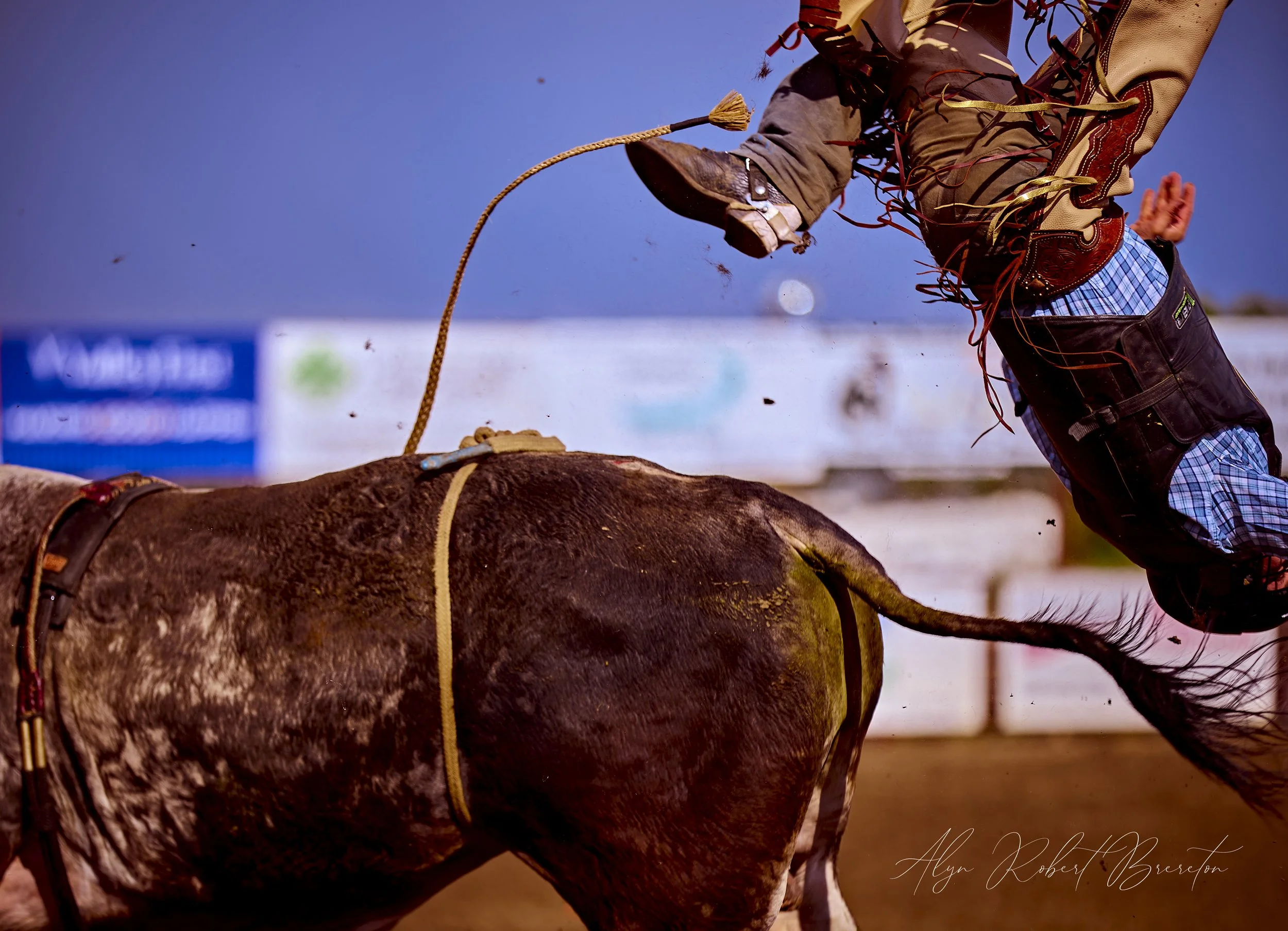 Alyn Robert Brereton 60.jpg