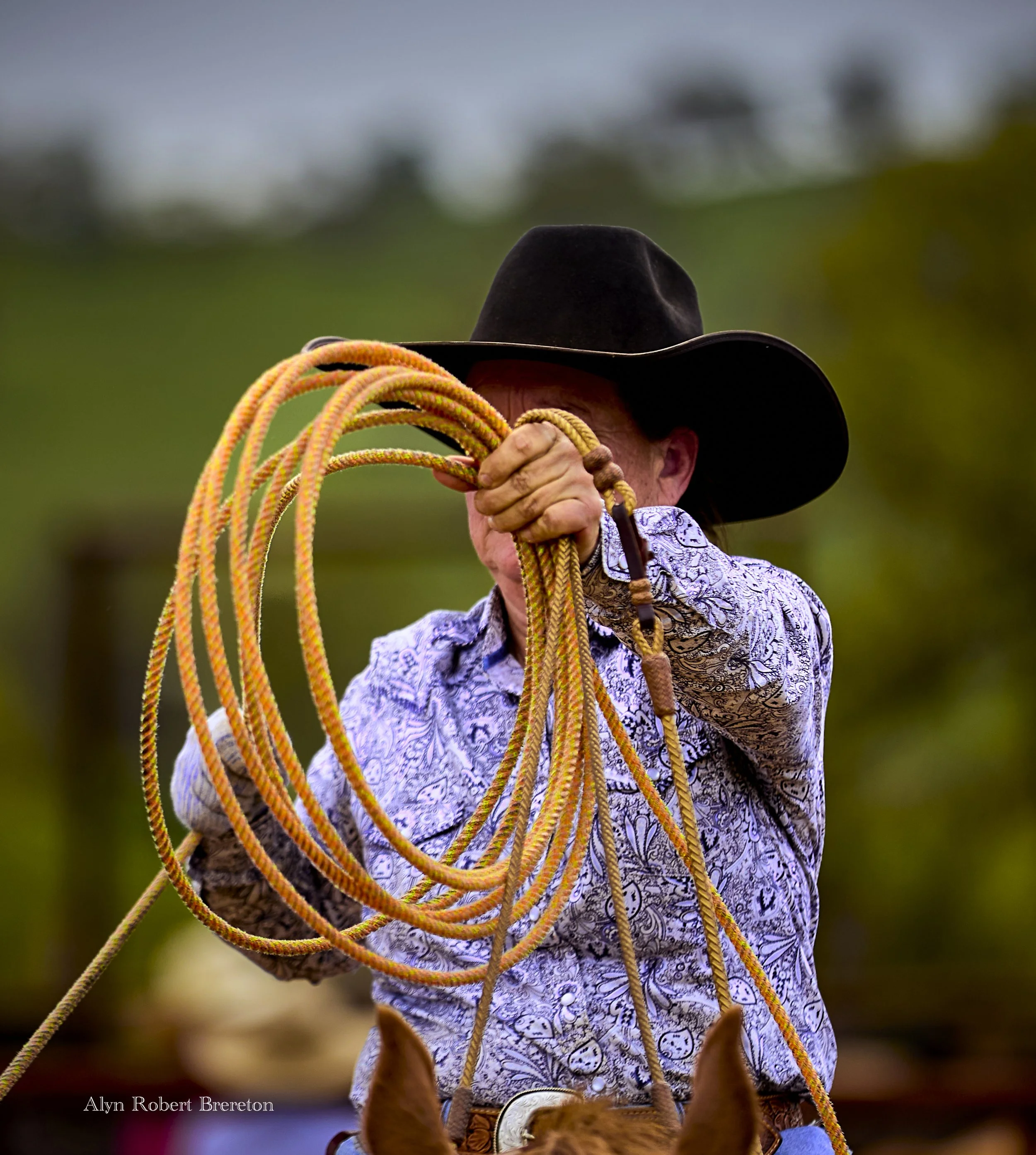 Alyn Robert Brereton 20.jpg