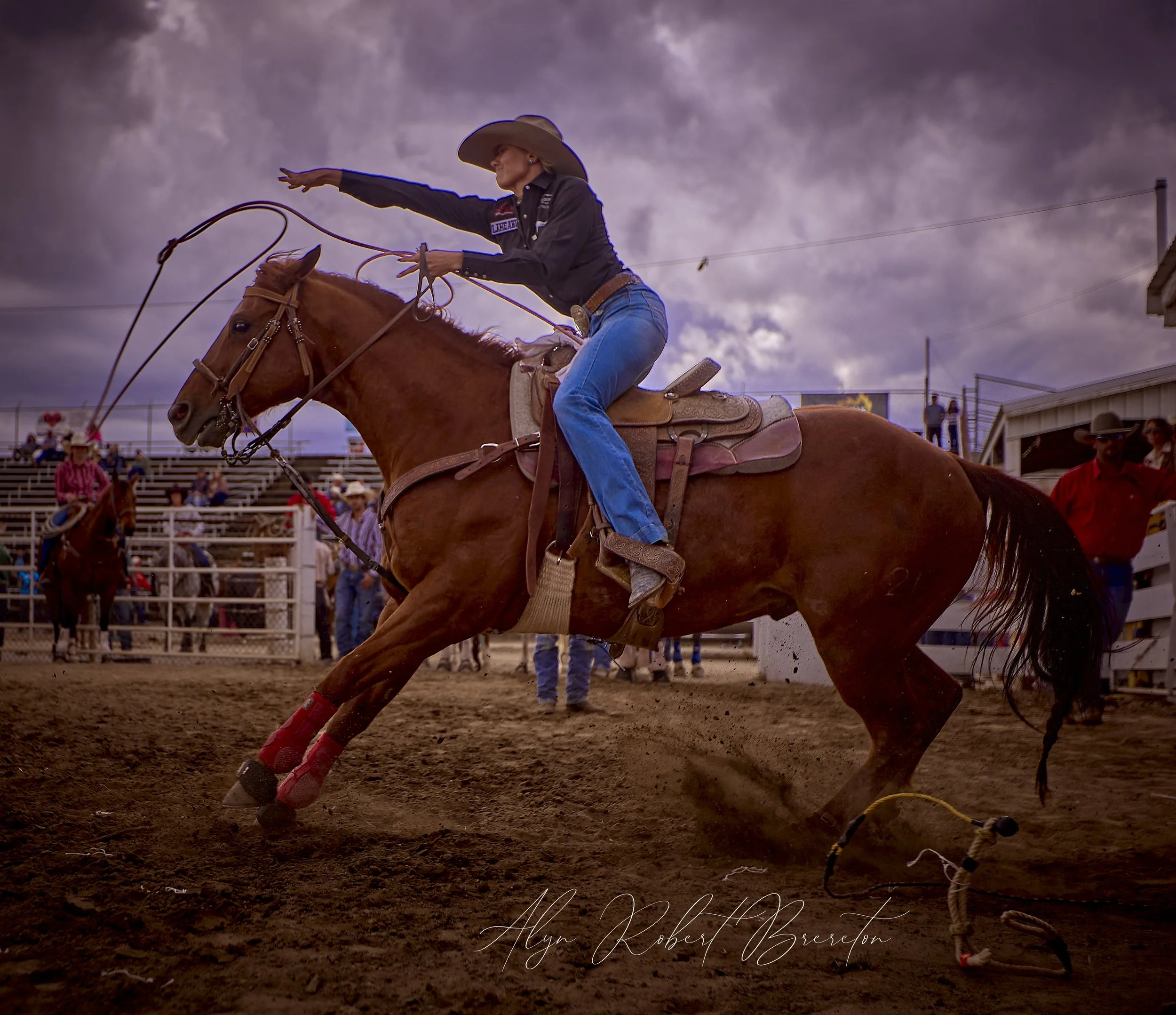 Alyn Robert Brereton 3.jpg