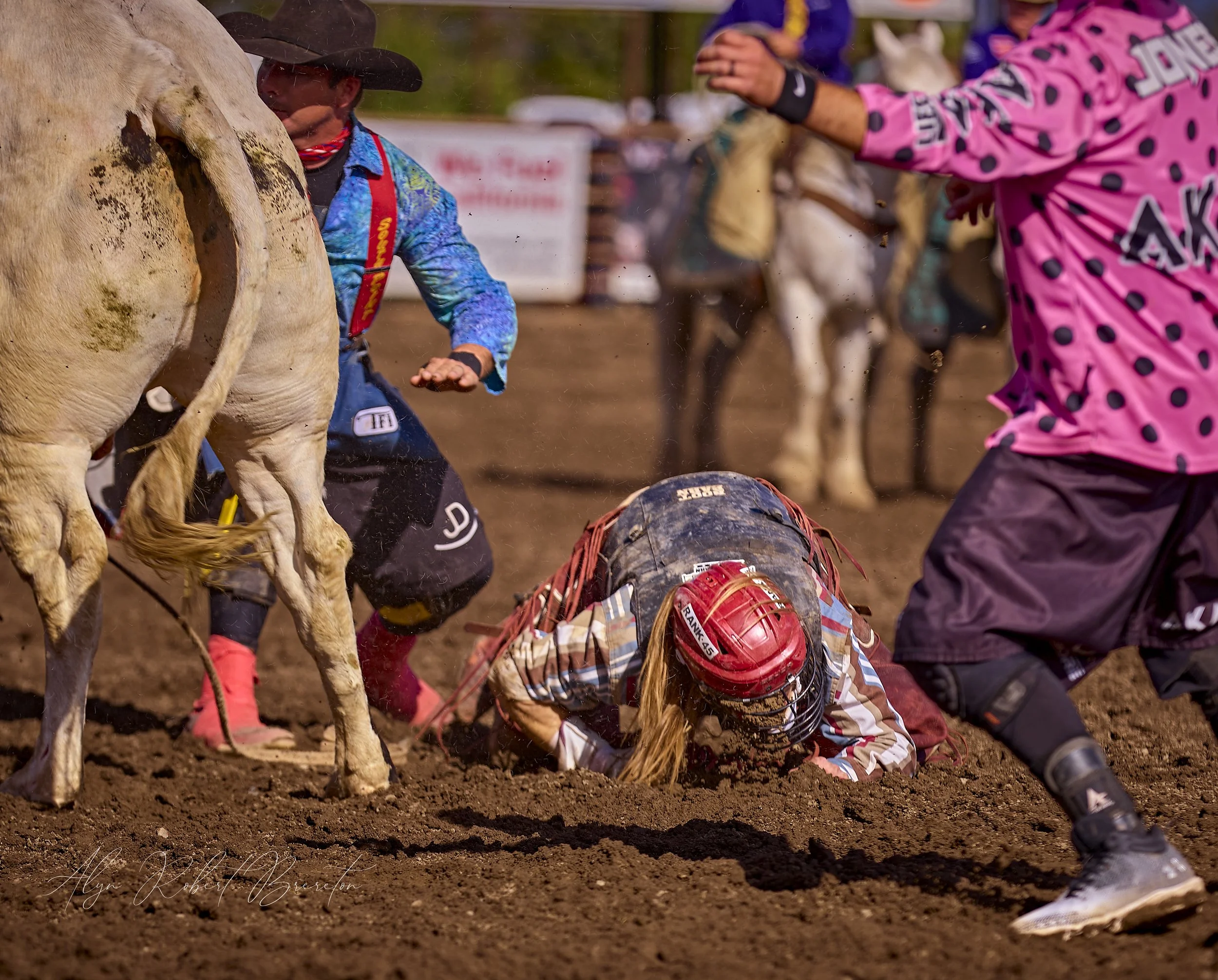 Alyn Robert Brereton 63.jpg