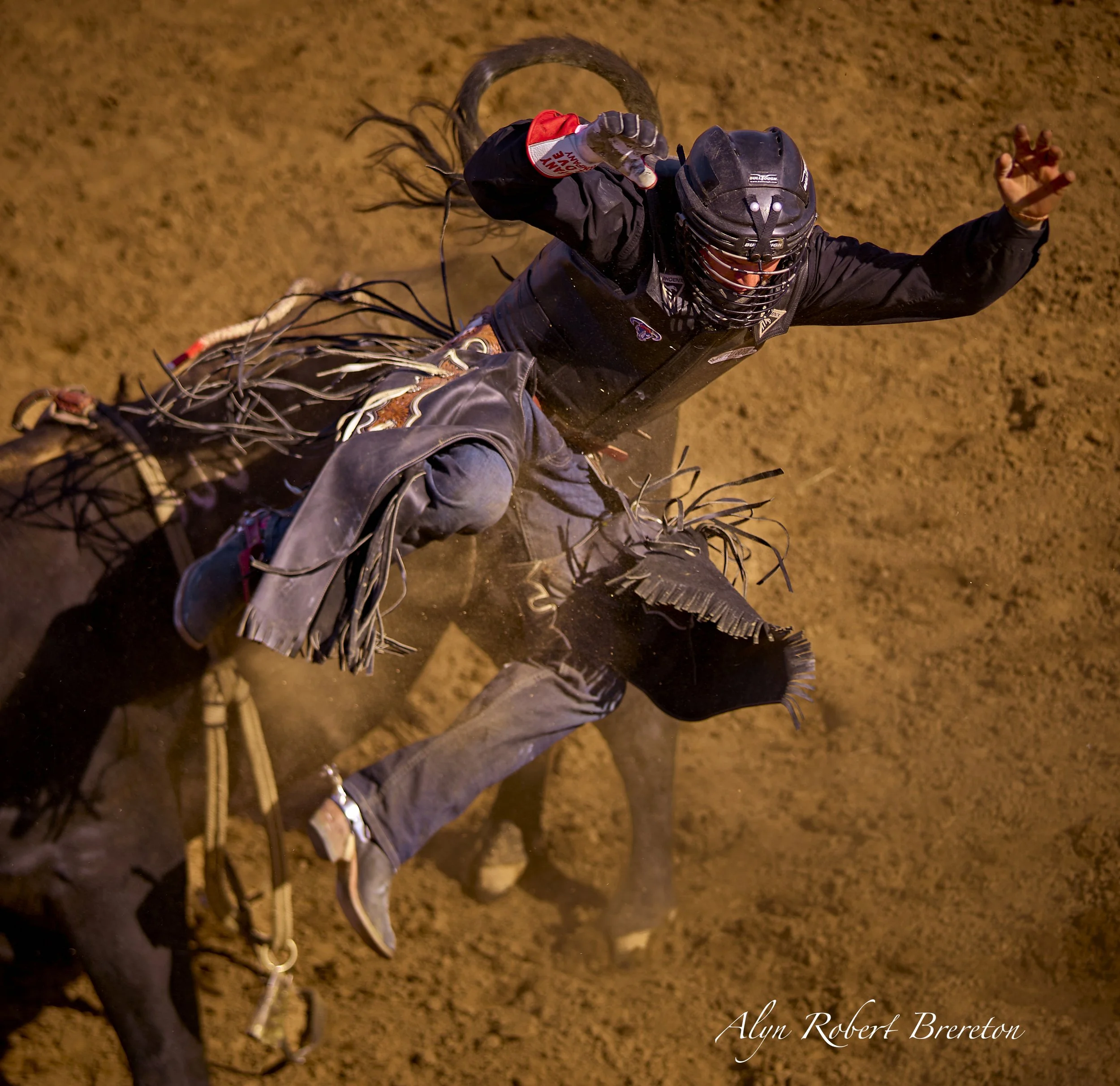 Alyn Robert Brereton 48.jpg