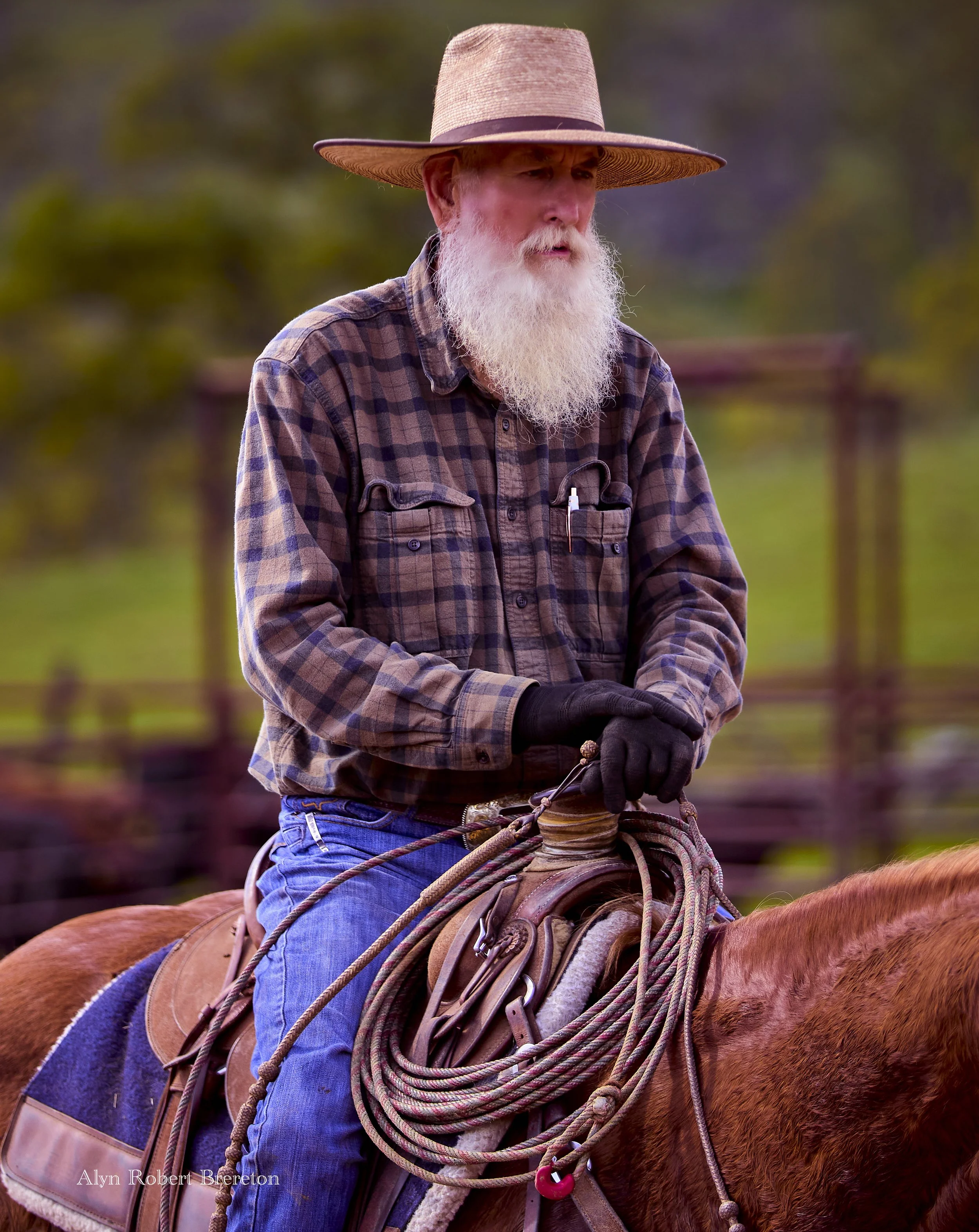 Alyn Robert Brereton 32.jpg