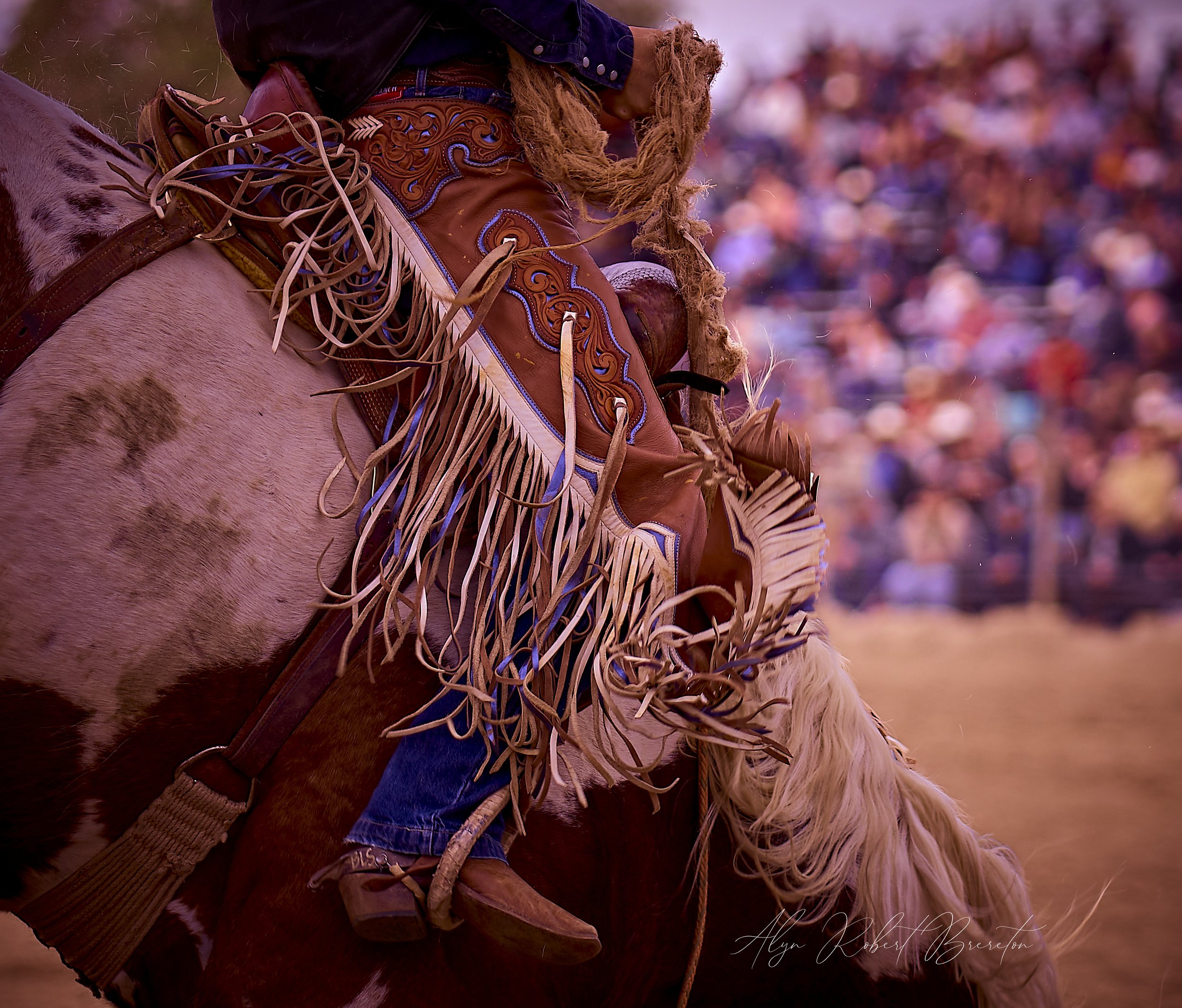 Alyn Robert Brereton 26.jpg