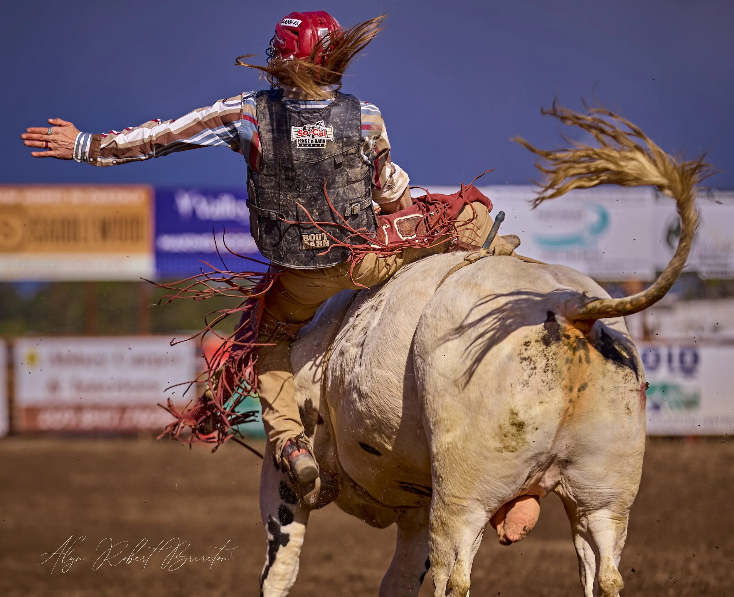 Alyn Robert Brereton 61.jpg