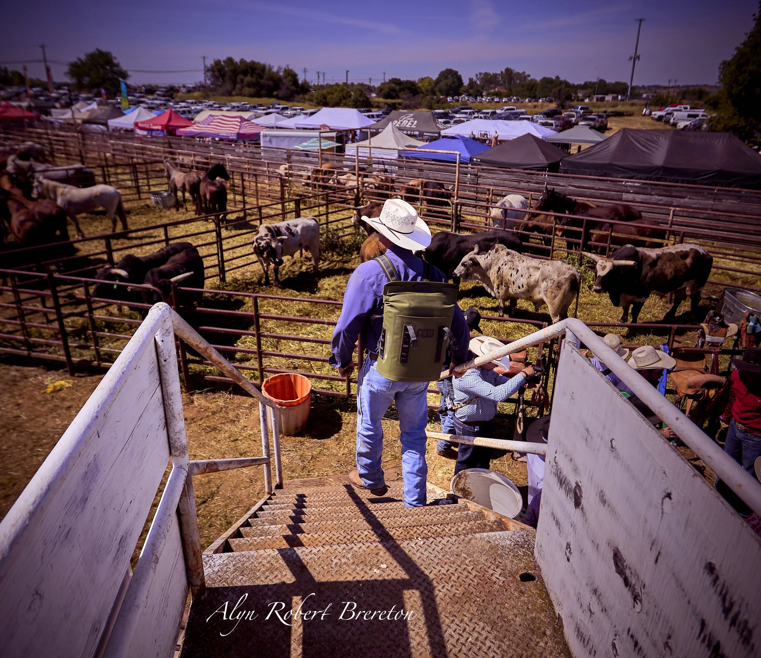 Alyn Robert Brereton 1.jpg