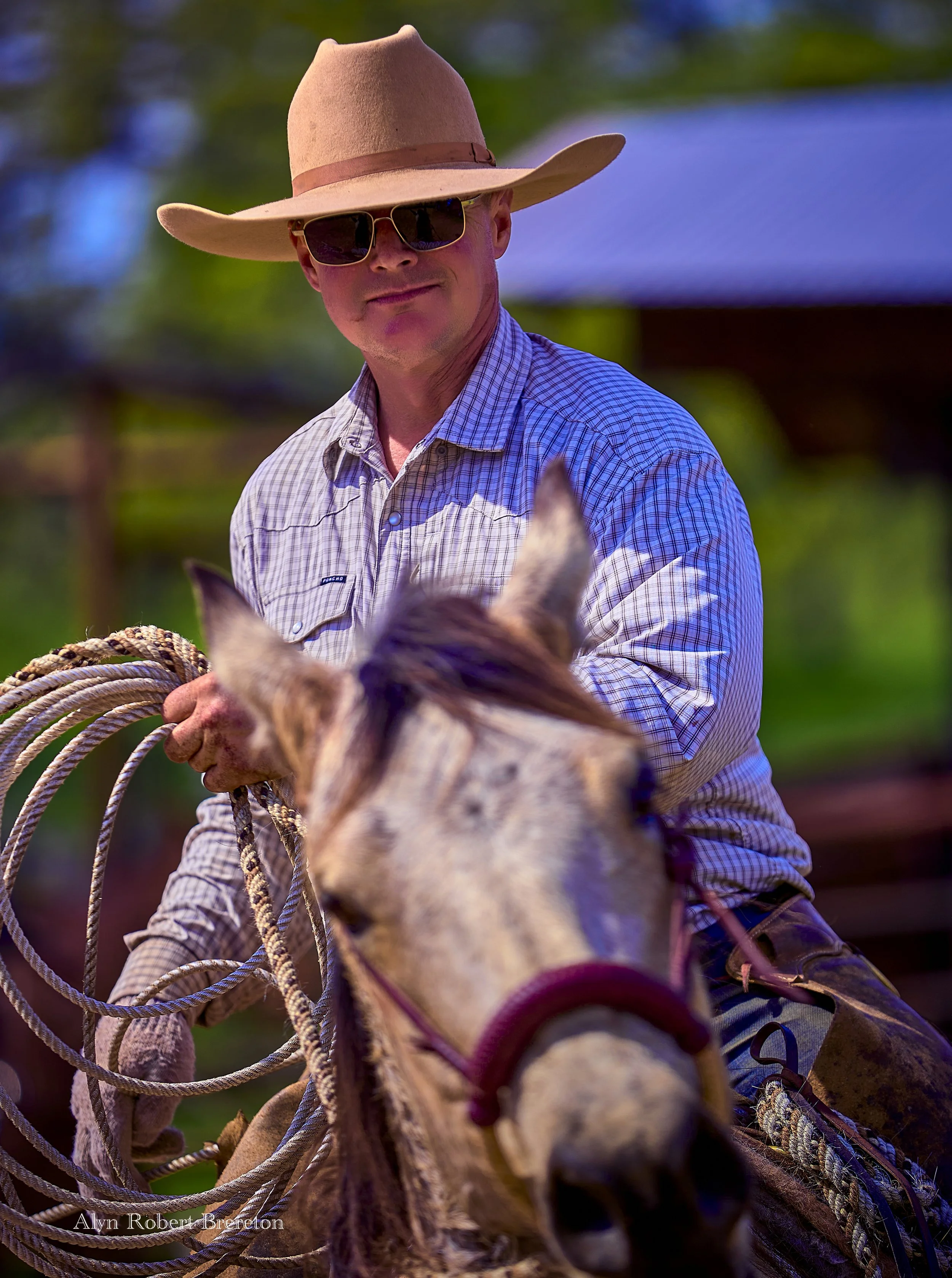 Alyn Robert Brereton 25.jpg