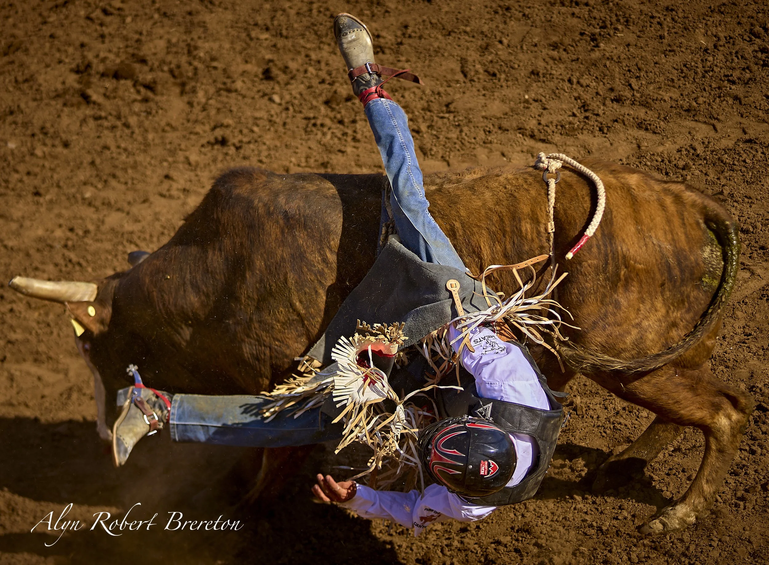 Alyn Robert Brereton 42.jpg