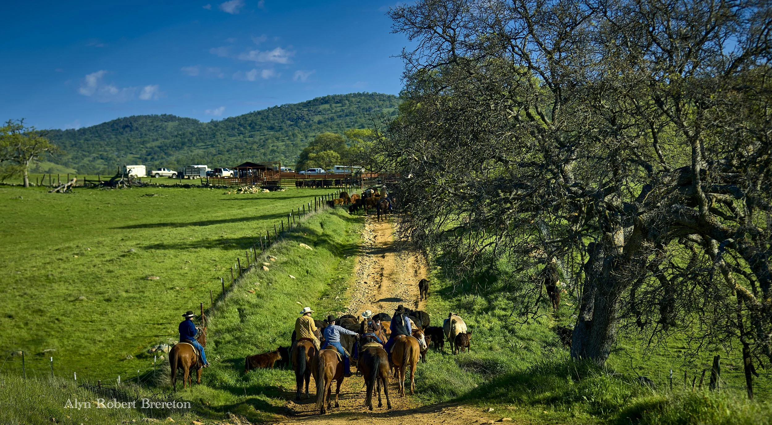 Alyn Robert Brereton 5.jpg