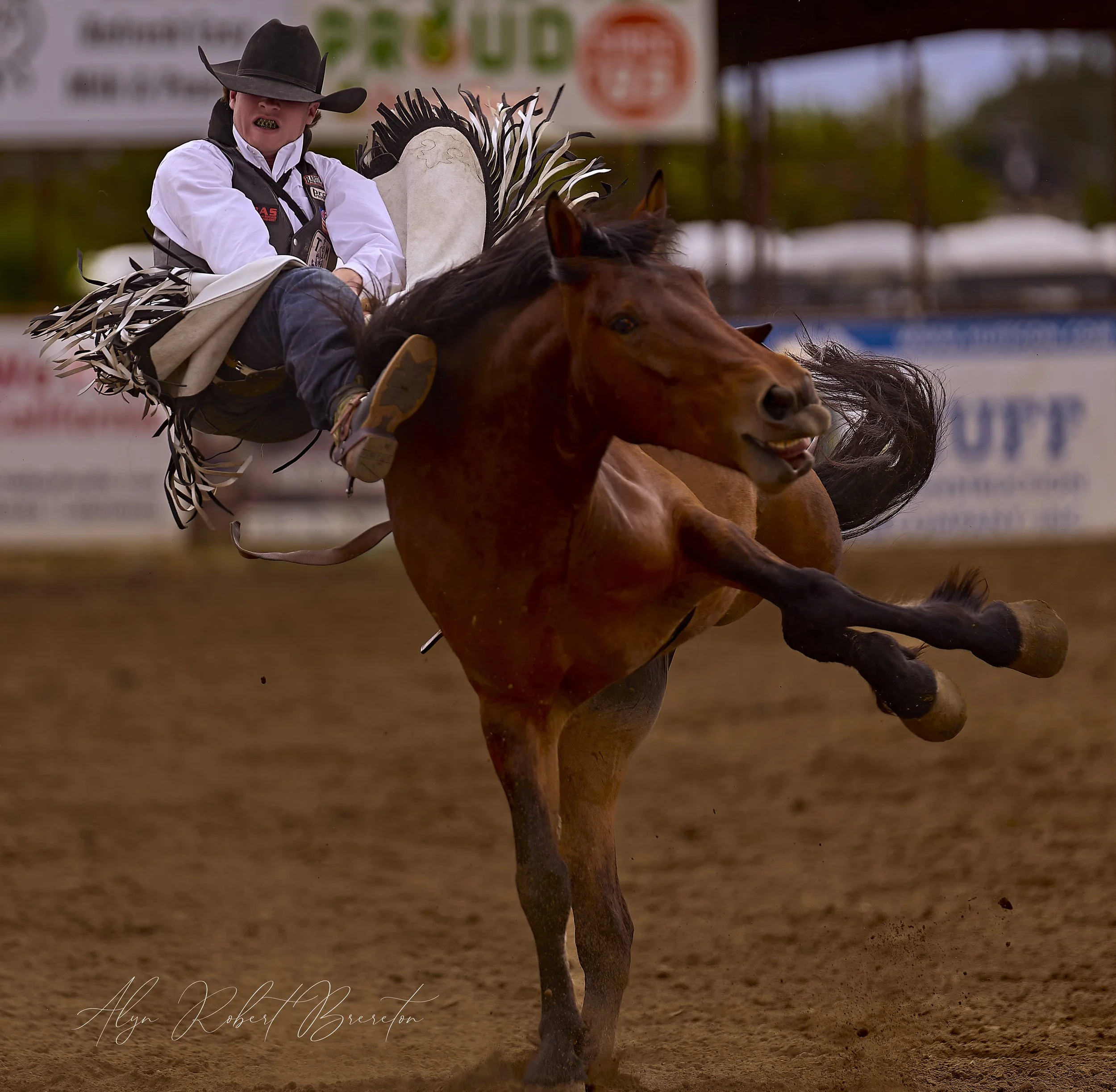 Alyn Robert Brereton 14.jpg