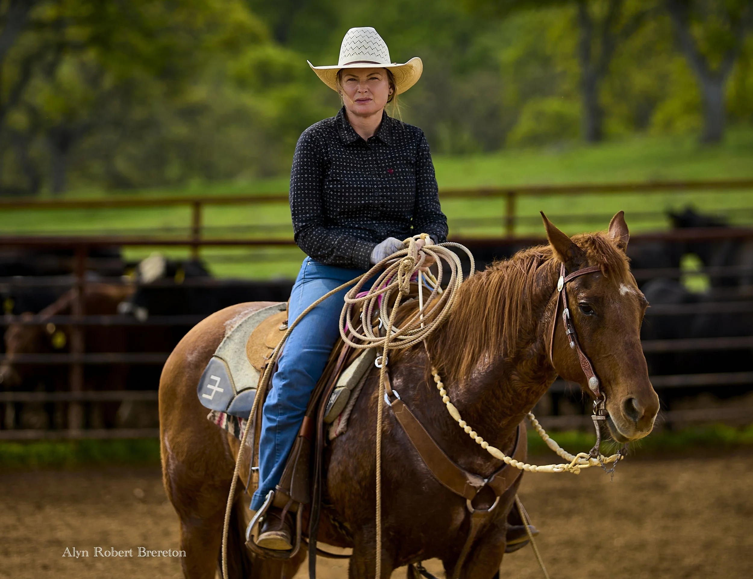 Alyn Robert Brereton 31.jpg