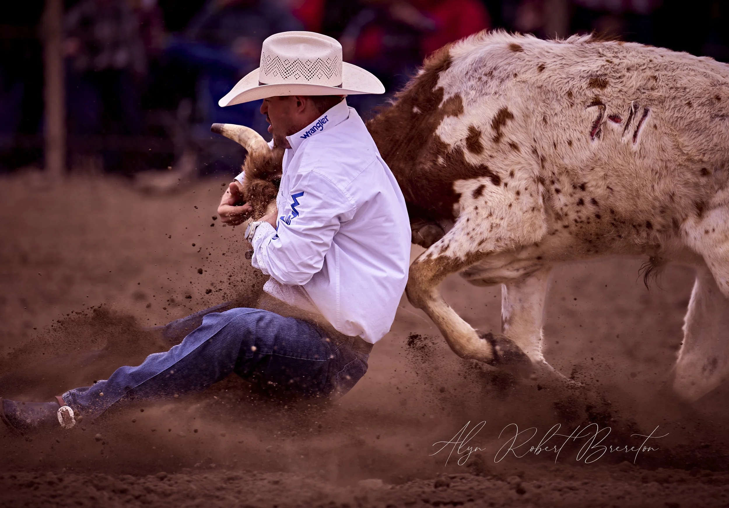 Alyn Robert Brereton 13.jpg