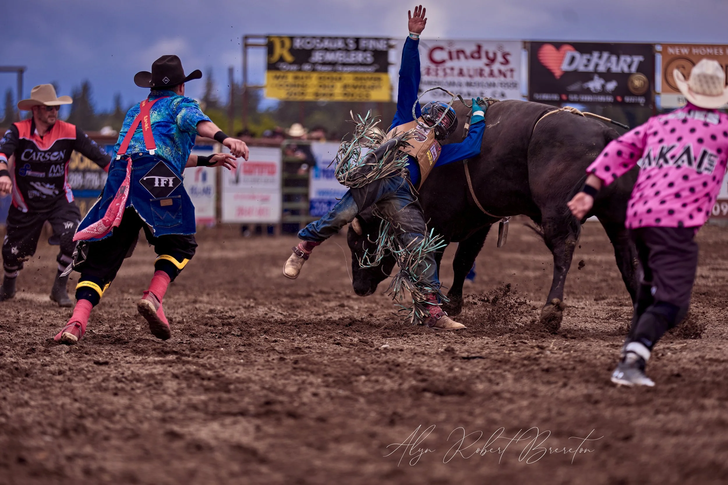 Alyn Robert Brereton 40.jpg