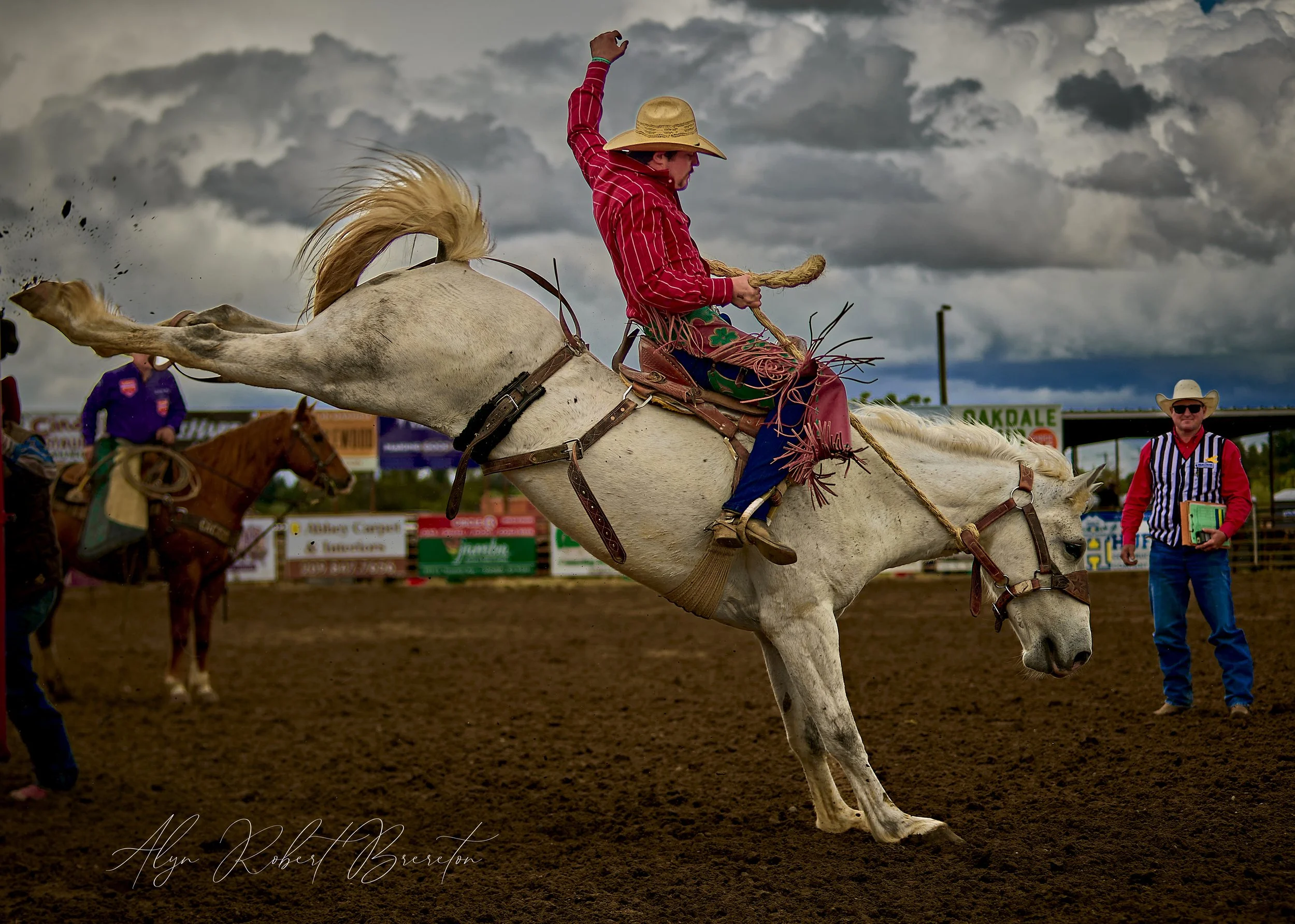 Alyn Robert Brereton 50.jpg