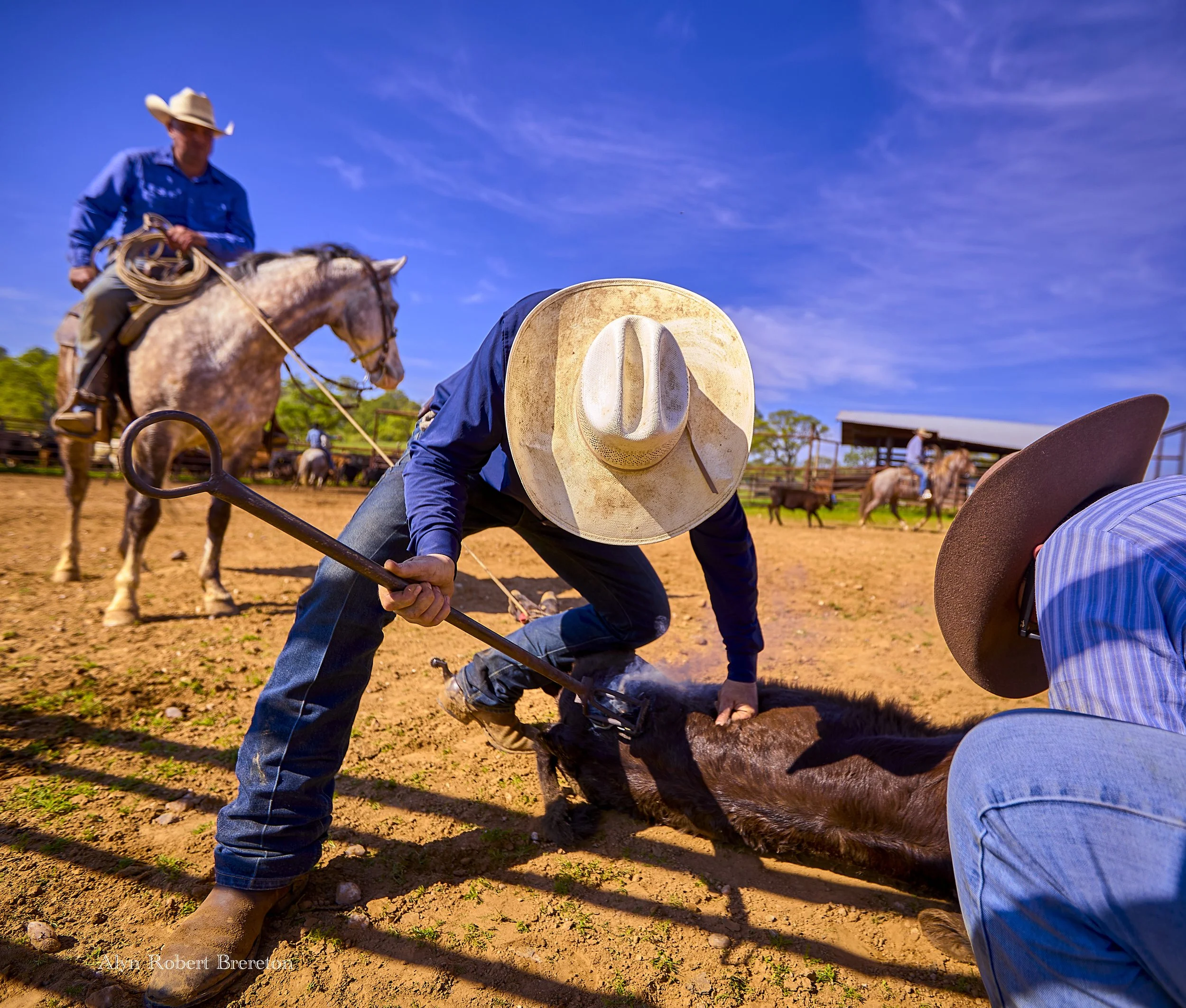 Alyn Robert Brereton 11.jpg