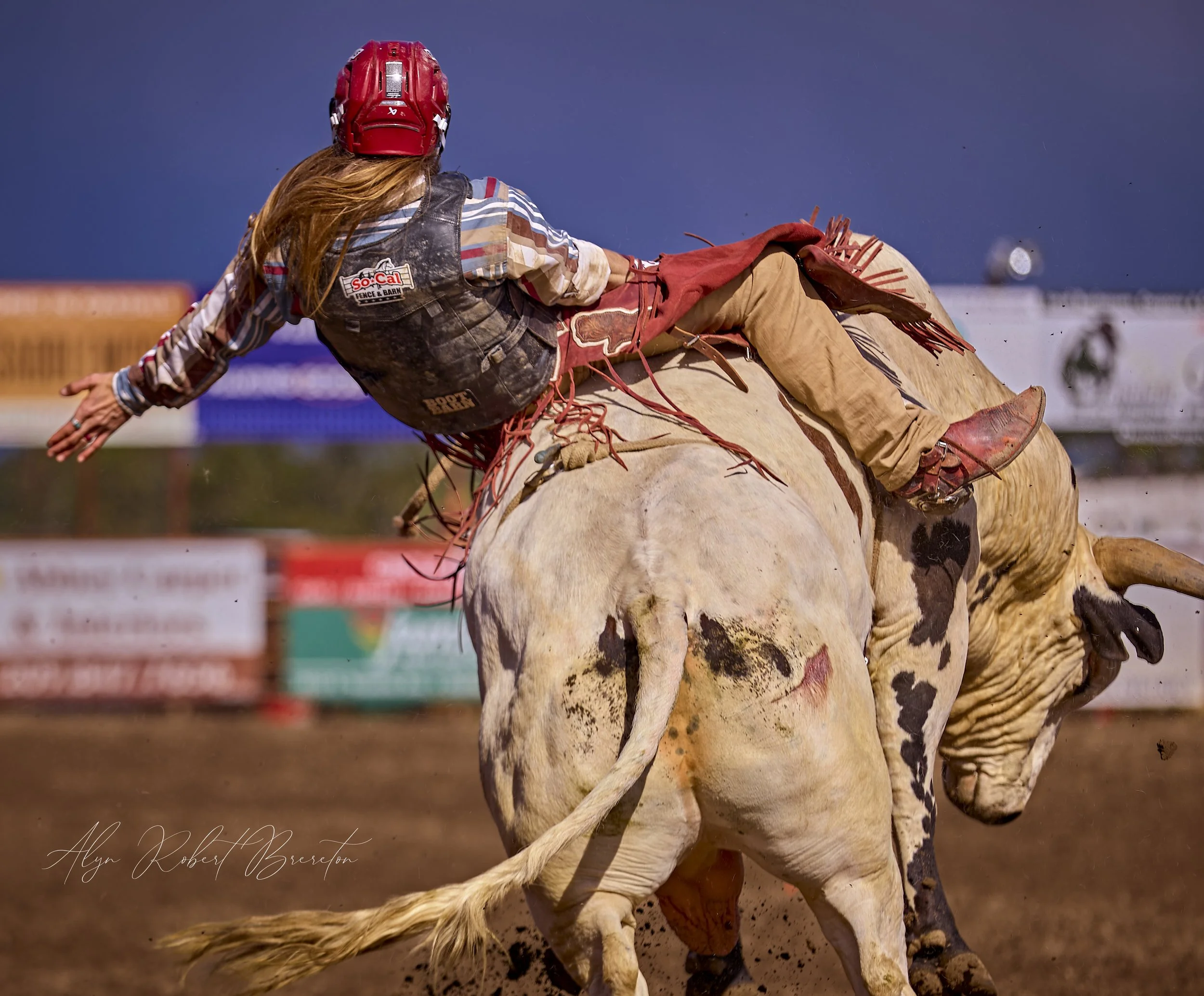 Alyn Robert Brereton 62.jpg