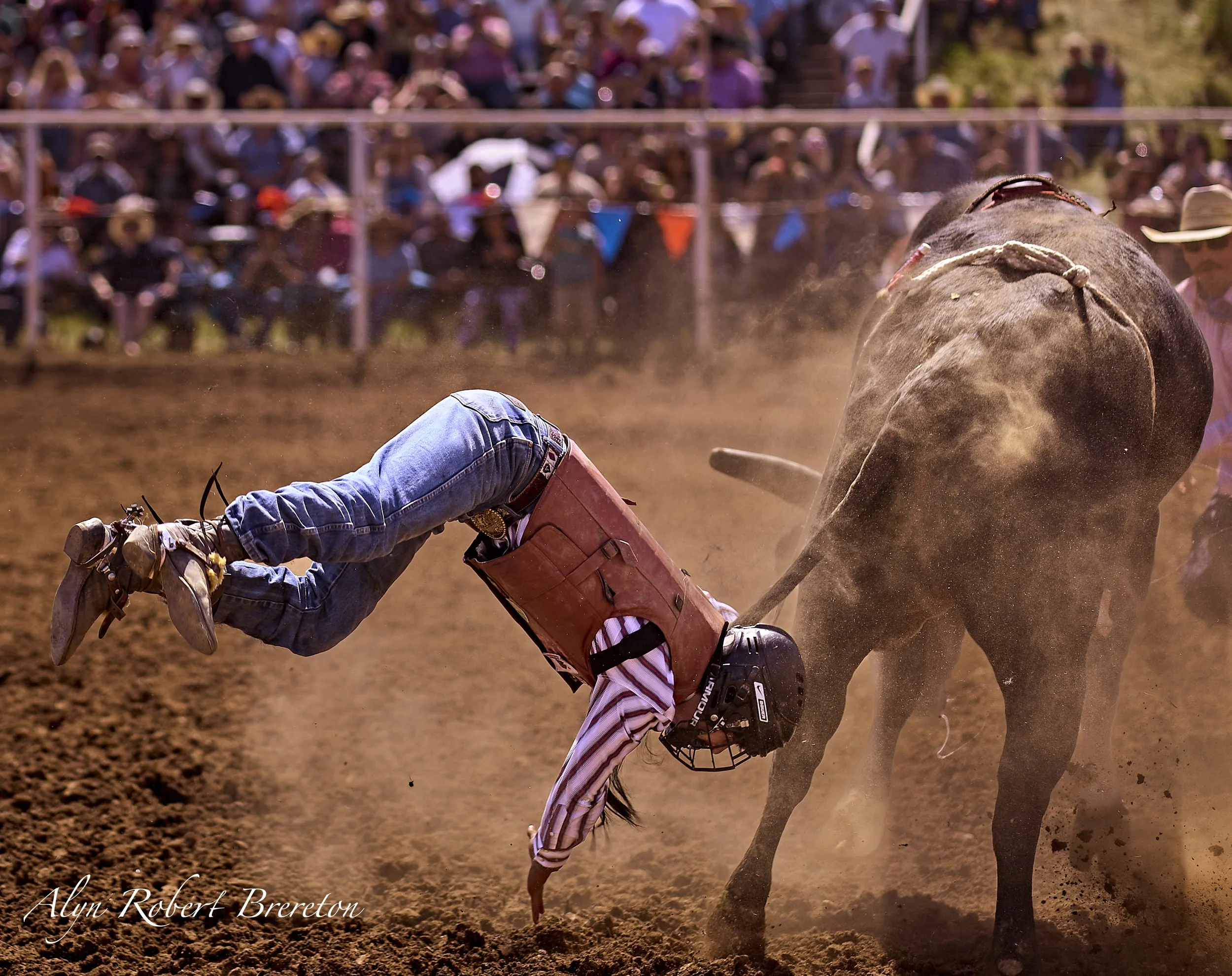 Alyn Robert Brereton 4.jpg