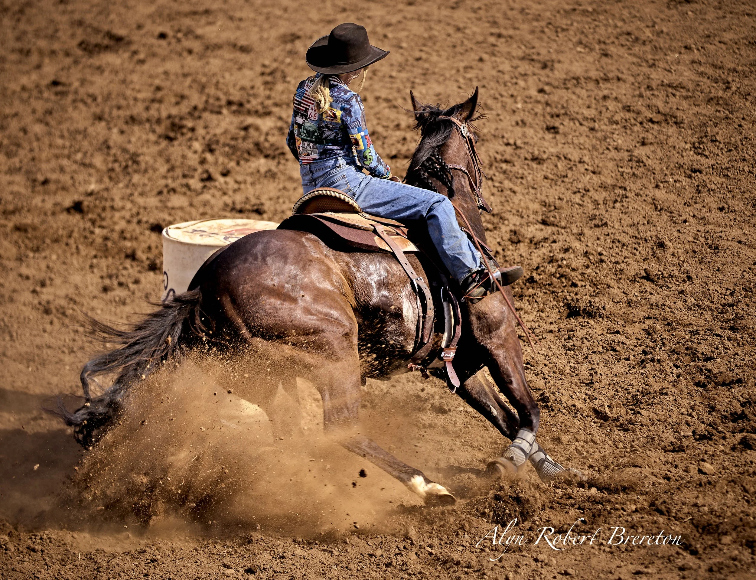 Alyn Robert Brereton 39.jpg