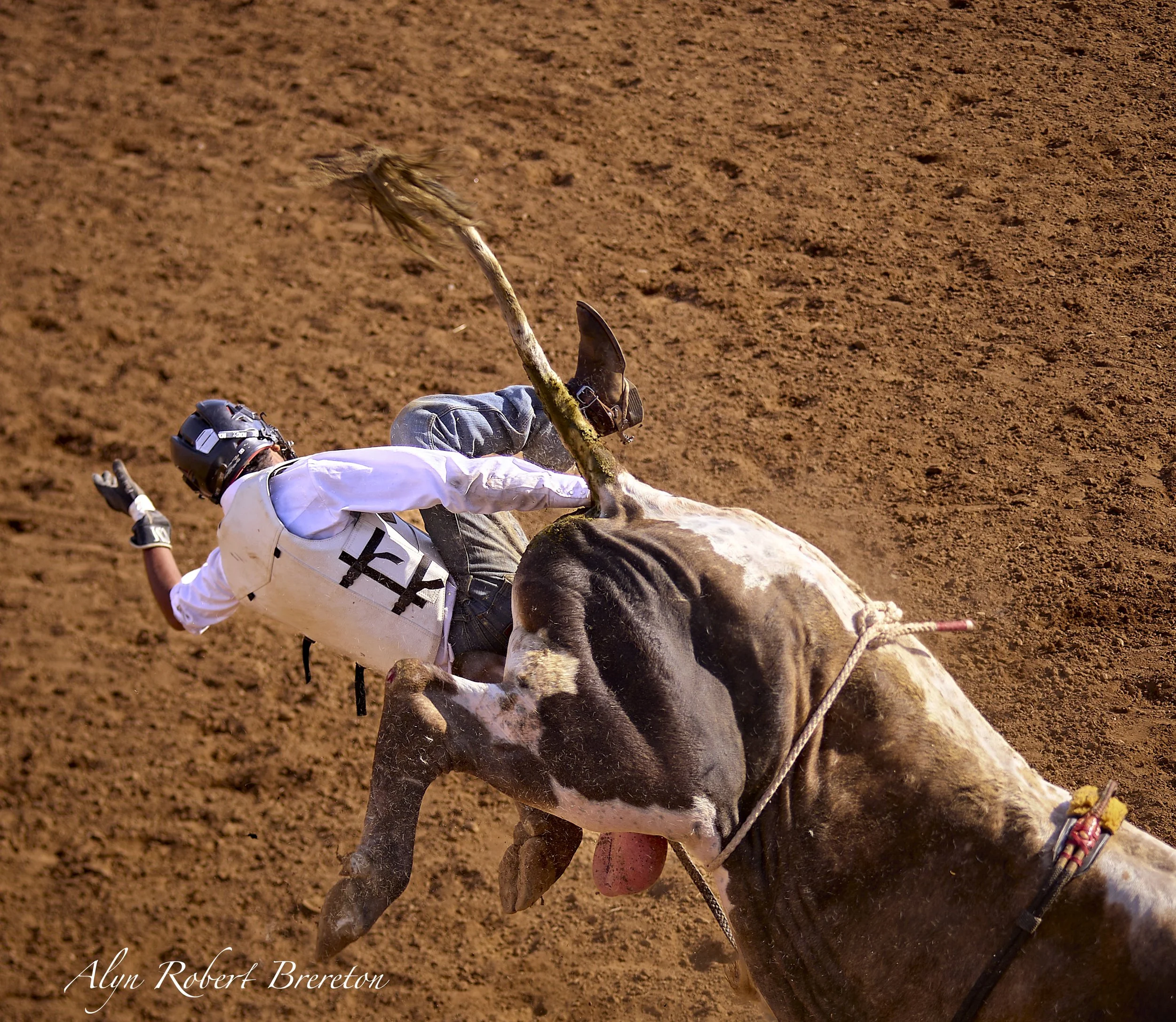 Alyn Robert Brereton 45.jpg