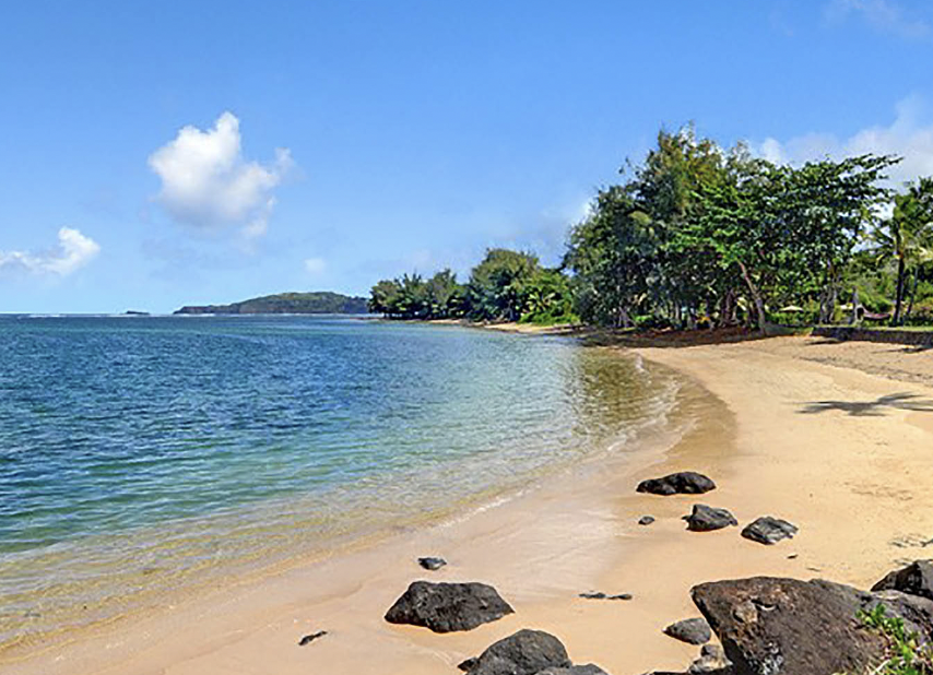 Screen Shot 2024-03-28 at 10.16.32 AM.png