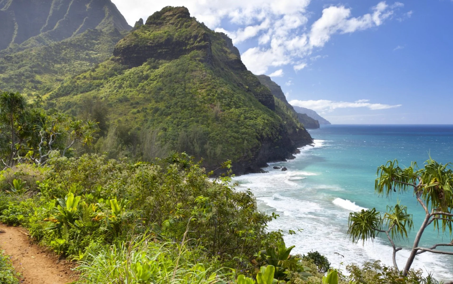 Screen Shot 2024-03-21 at 12.04.25 PM.jpg