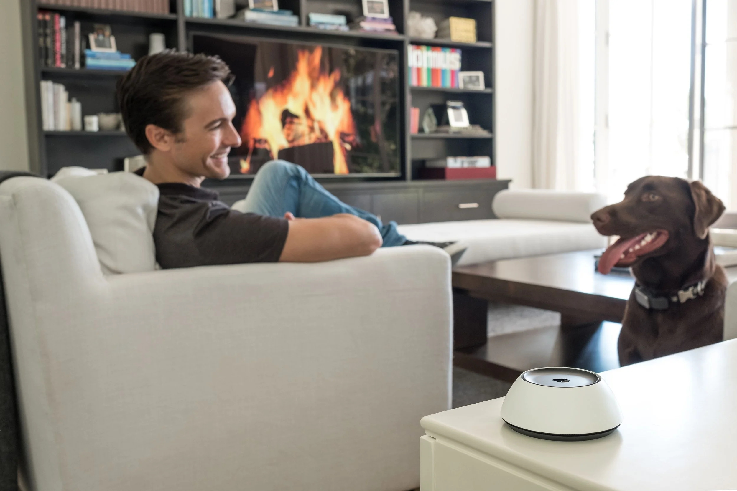 Josh Nano voice assistant in a natural living room setting for intuitive, hands-free smart home control.